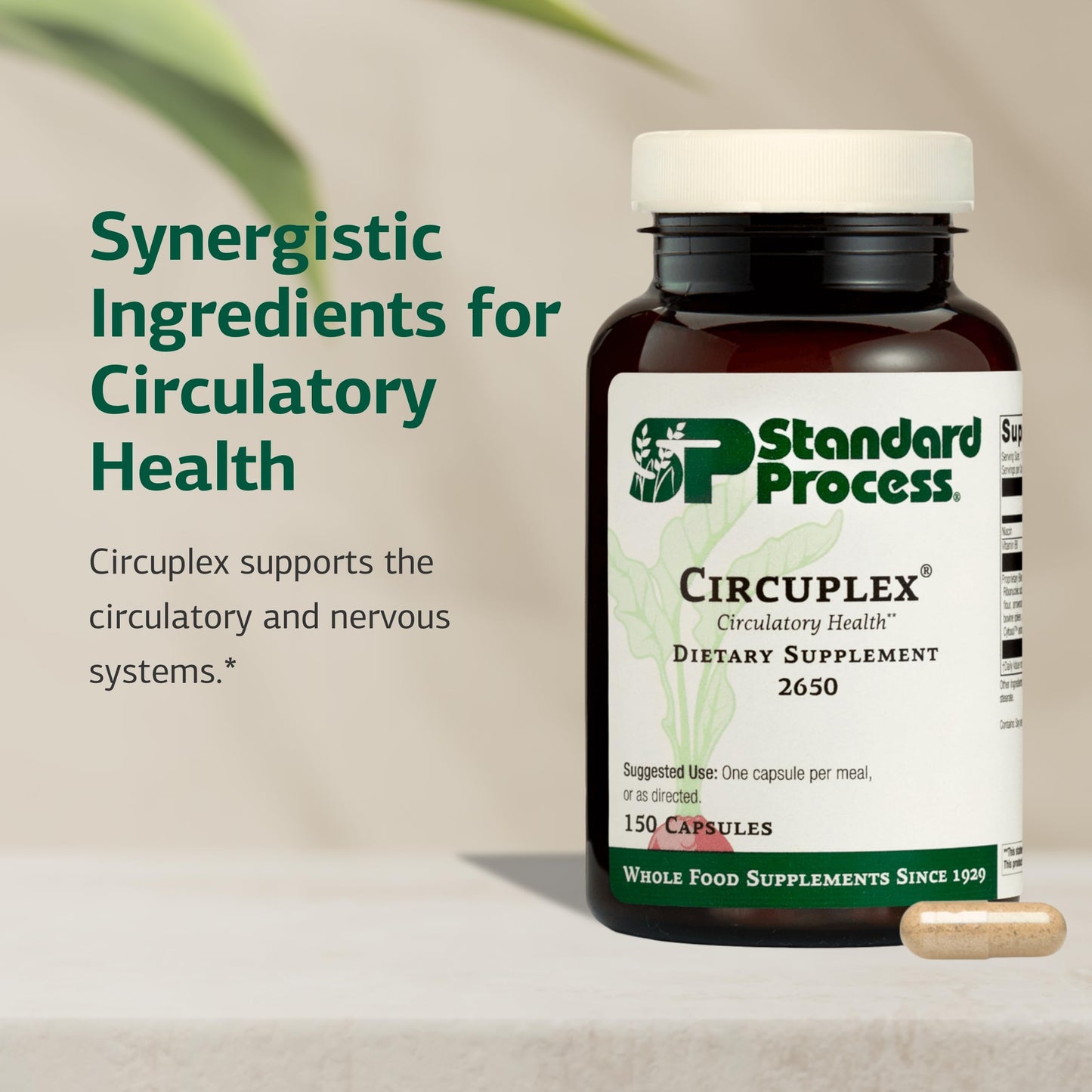 Standard Process Inc. Circuplex Vascular & Nervous System Support 150 Capsules