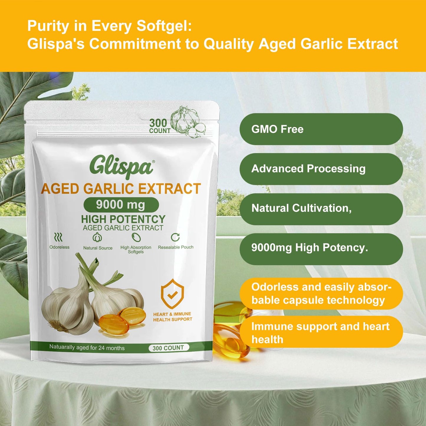 Glispa Aged Garlic Extract Capsule 1 Count