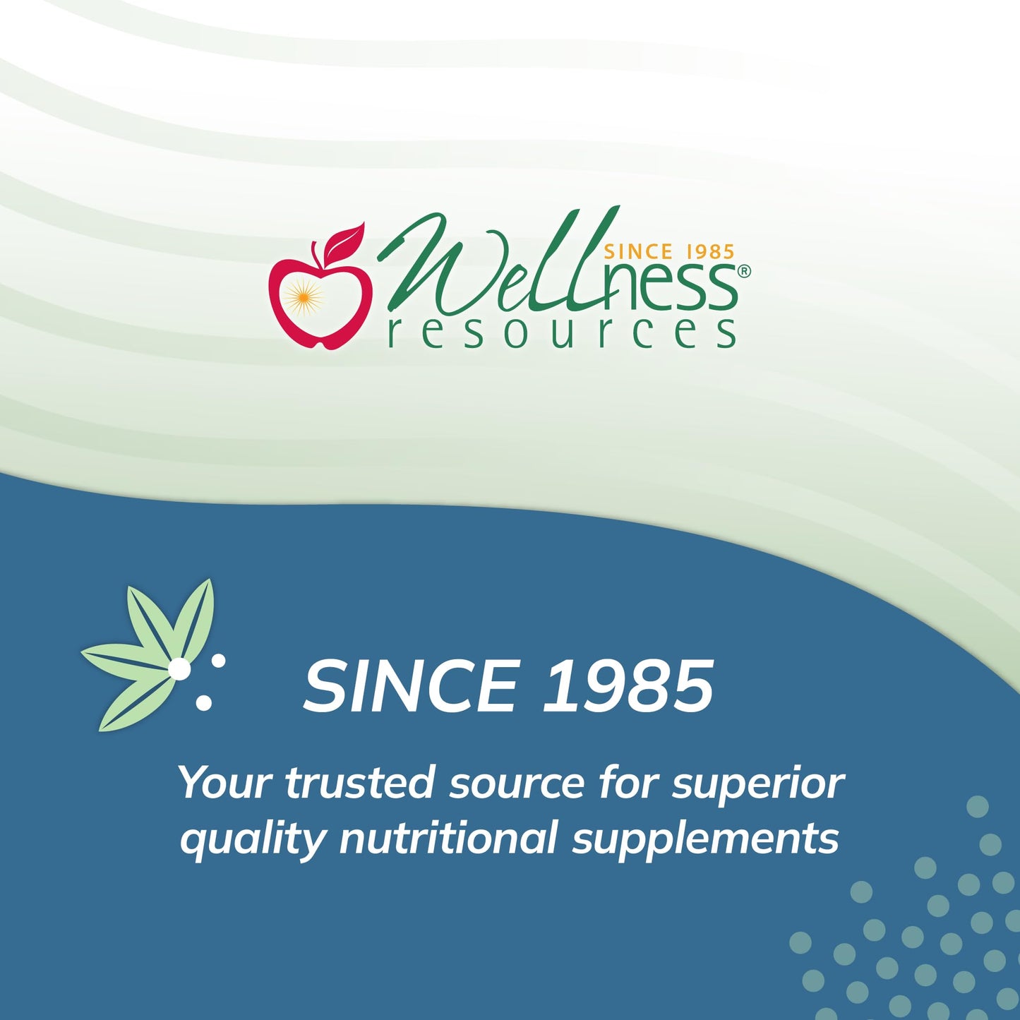 Wellness Resources Fisetin Capsule 90 Capsules