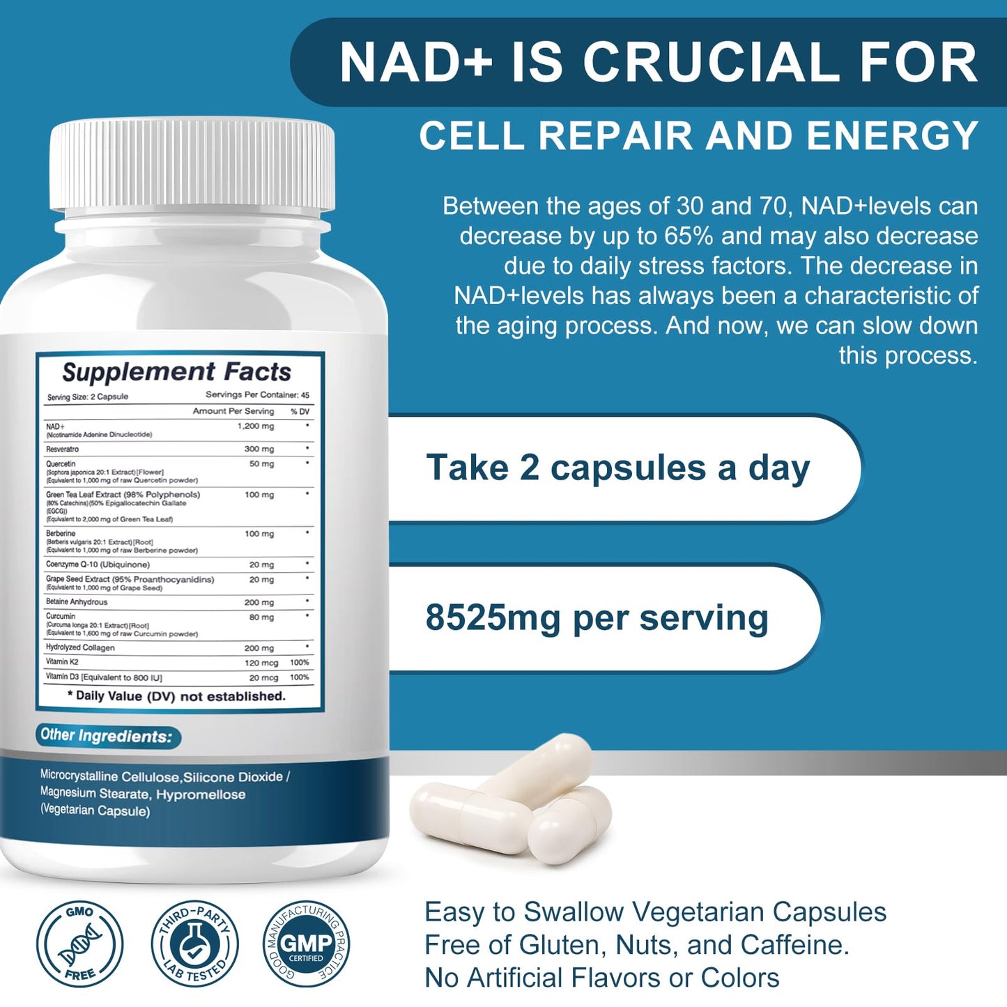 ETOVO NAD+ Supplement Capsule 180 Count