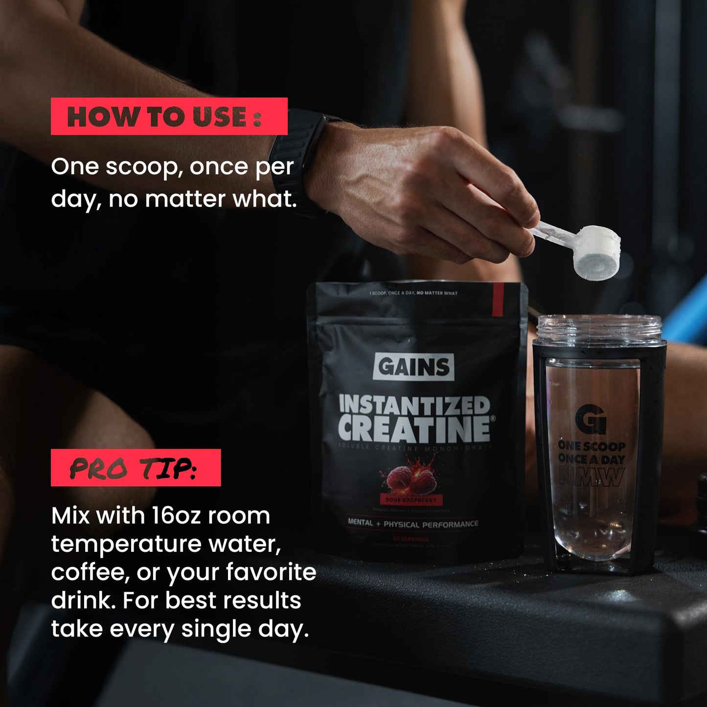 GAINS IN BULK Instantized Creatine Monohydrate Powder 30 Servings