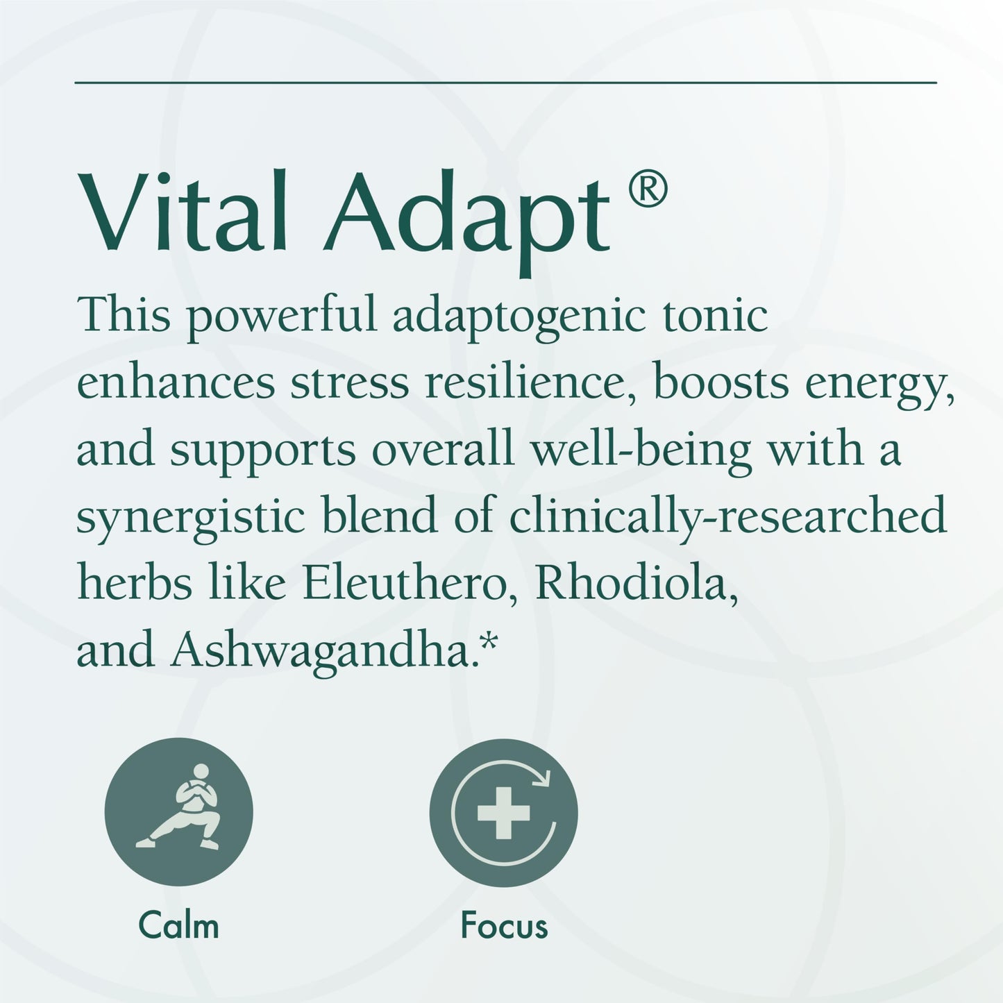 Natura Health Products Vital Adapt Supplement Capsules, 60
