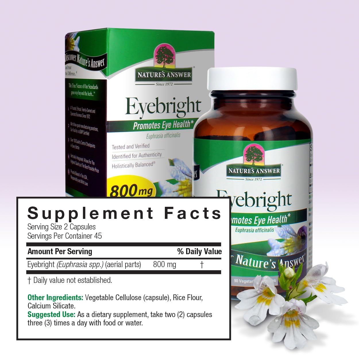 Nature's Answer Eyebright Herb Capsules 90 Count