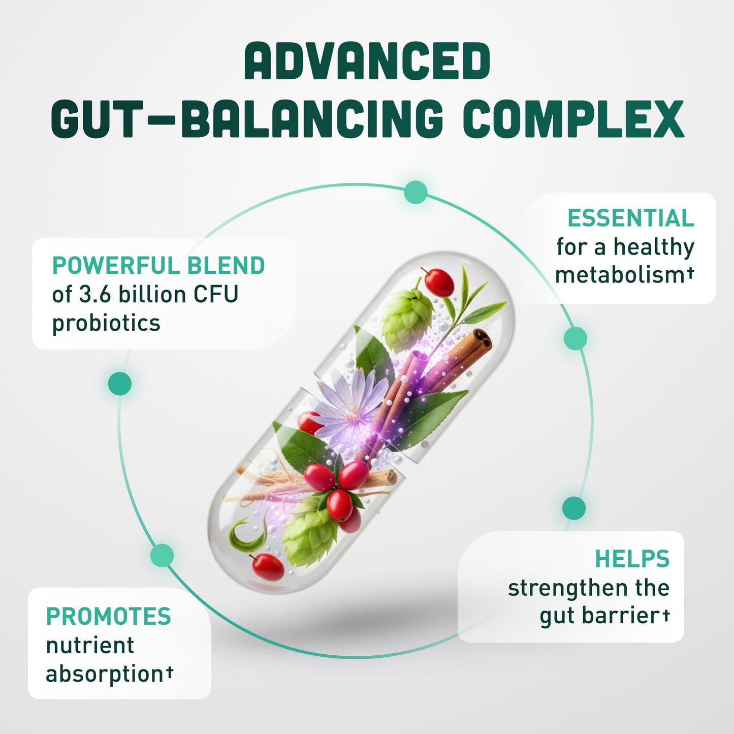 Back to Primal GLP-1 Support Capsules, 60 Count