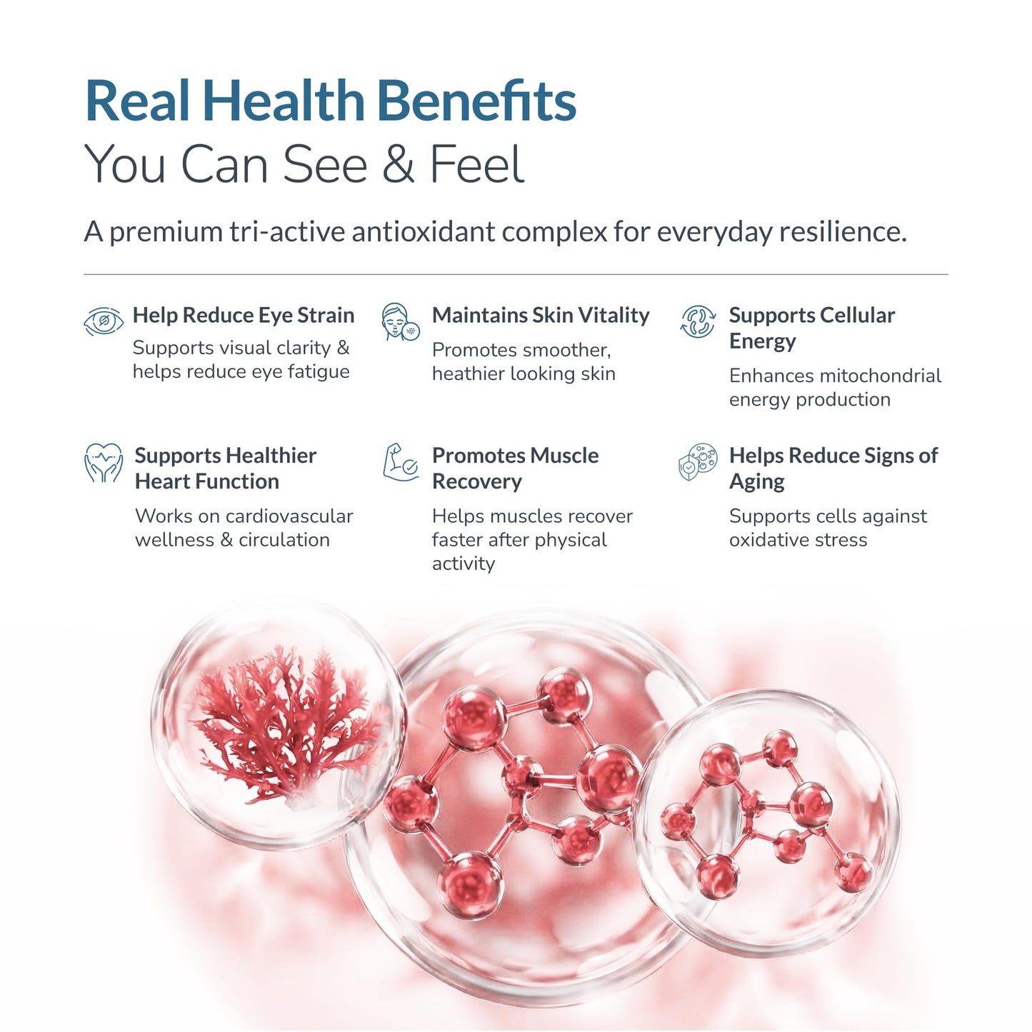 WELLNESS EXTRACT Astaxanthin 12mg Supplement 60 Softgels