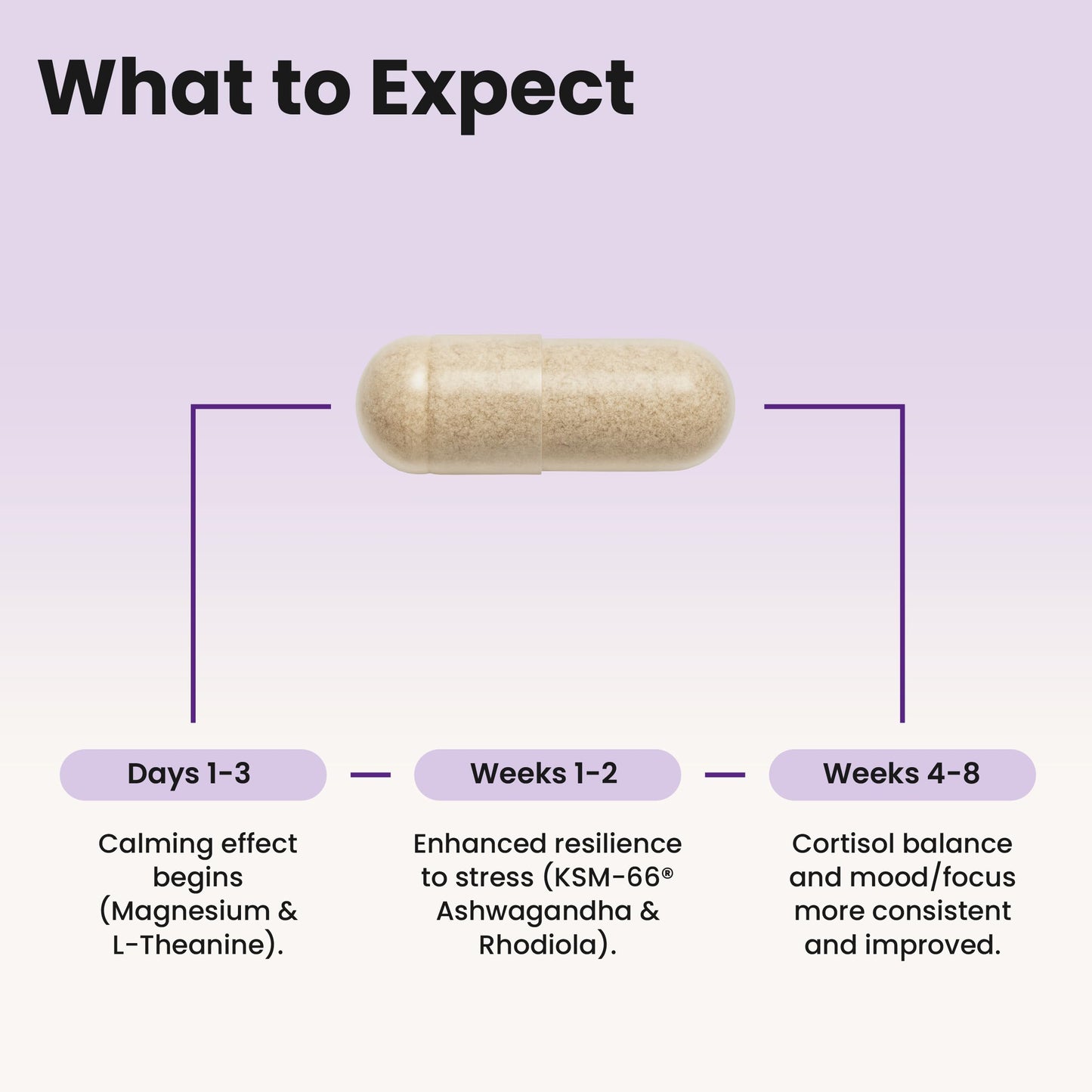 WellPath Cortisol Supplements for Women - Stress Support Complex 60 Capsules