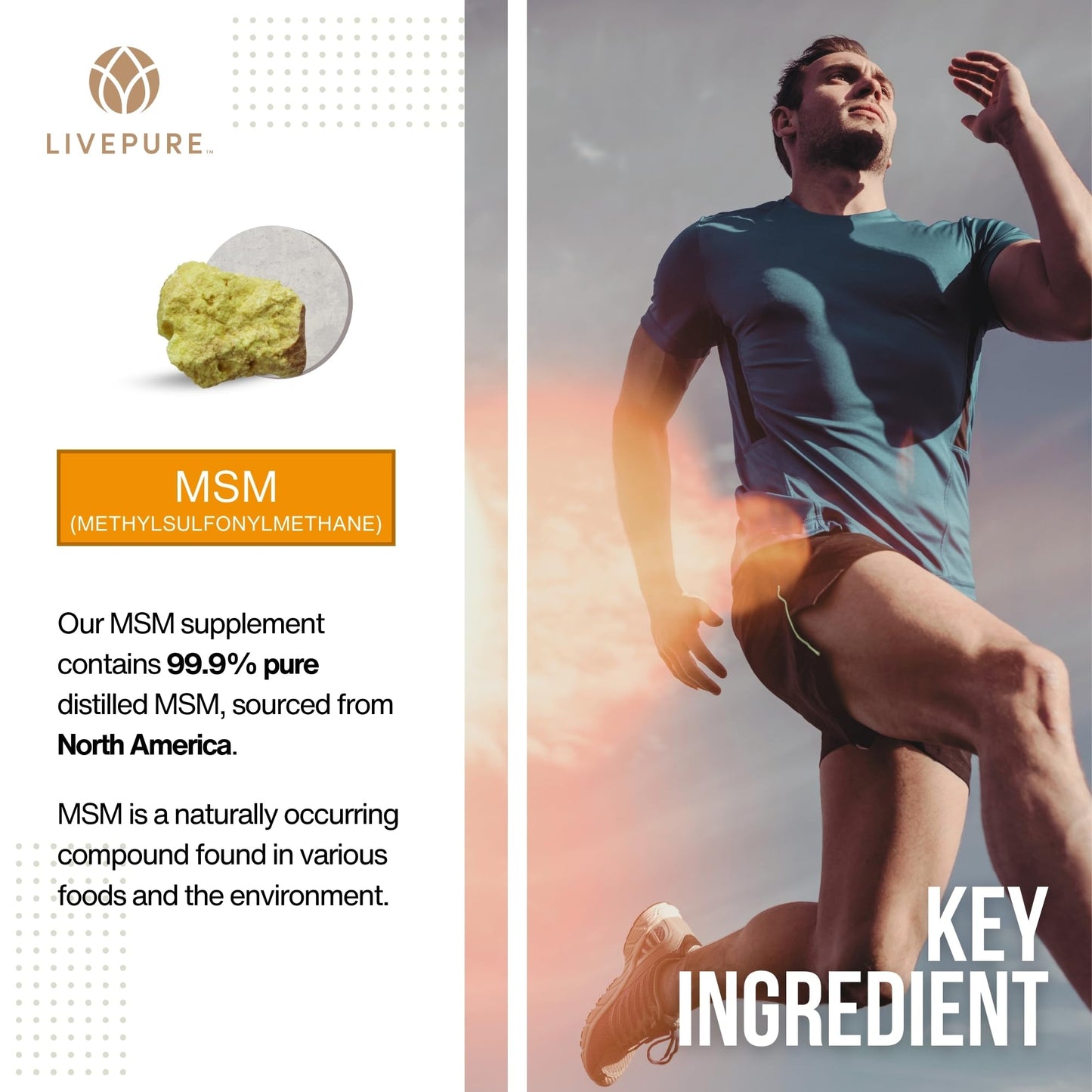 PURE Organic Sulfur MSM 180 Capsules