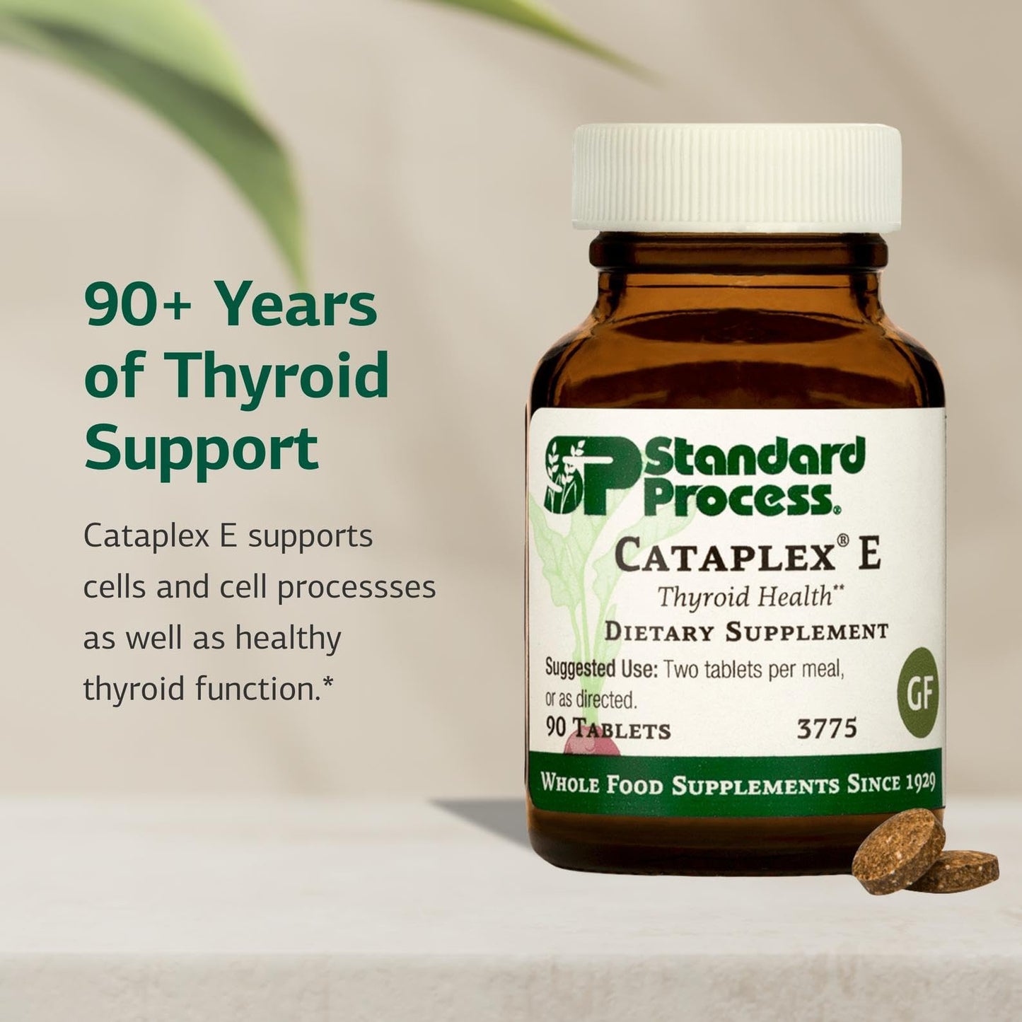 Standard Process Cataplex E Tablet - Thyroid Health Support with Antioxidant Vitamin E & Selenium - Endocrine Gland Health Support - Gluten-Free, Non-Dairy & Non-Soy, 90 Tablets