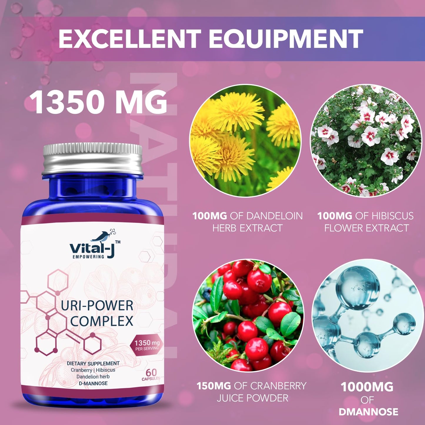 Vital-J Empowering 4-In-1 URI Power Complex 1350mg Capsule, 120 Count