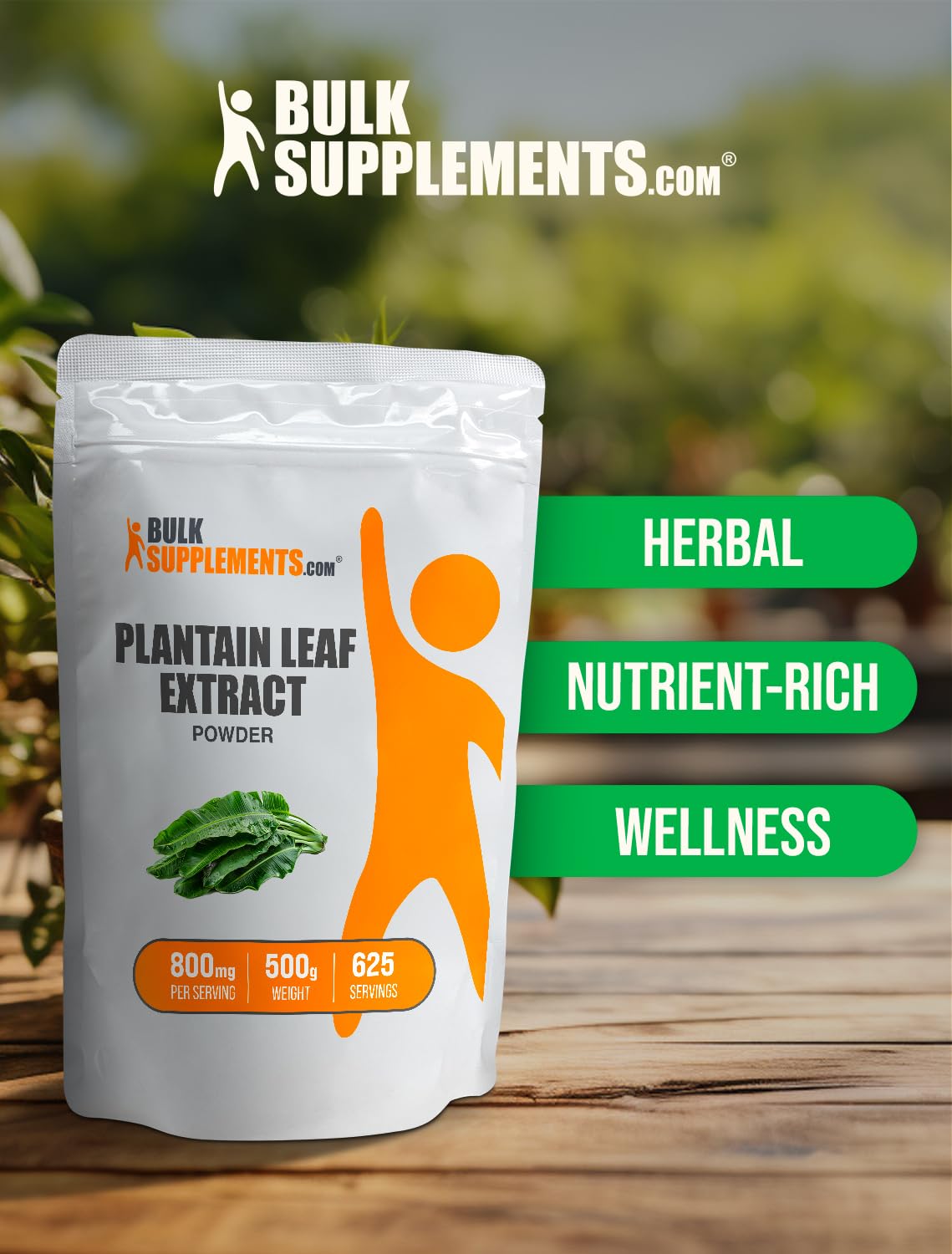 BulkSupplements Plantain Leaf Extract Powder, 17.63 oz