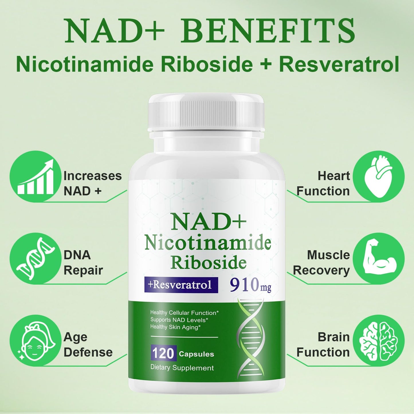 A r b c r n Nicotinamide Riboside Resveratrol 910mg for Men and Women NR Supplement for Energy and Anti-Aging Focus Capsules, 240