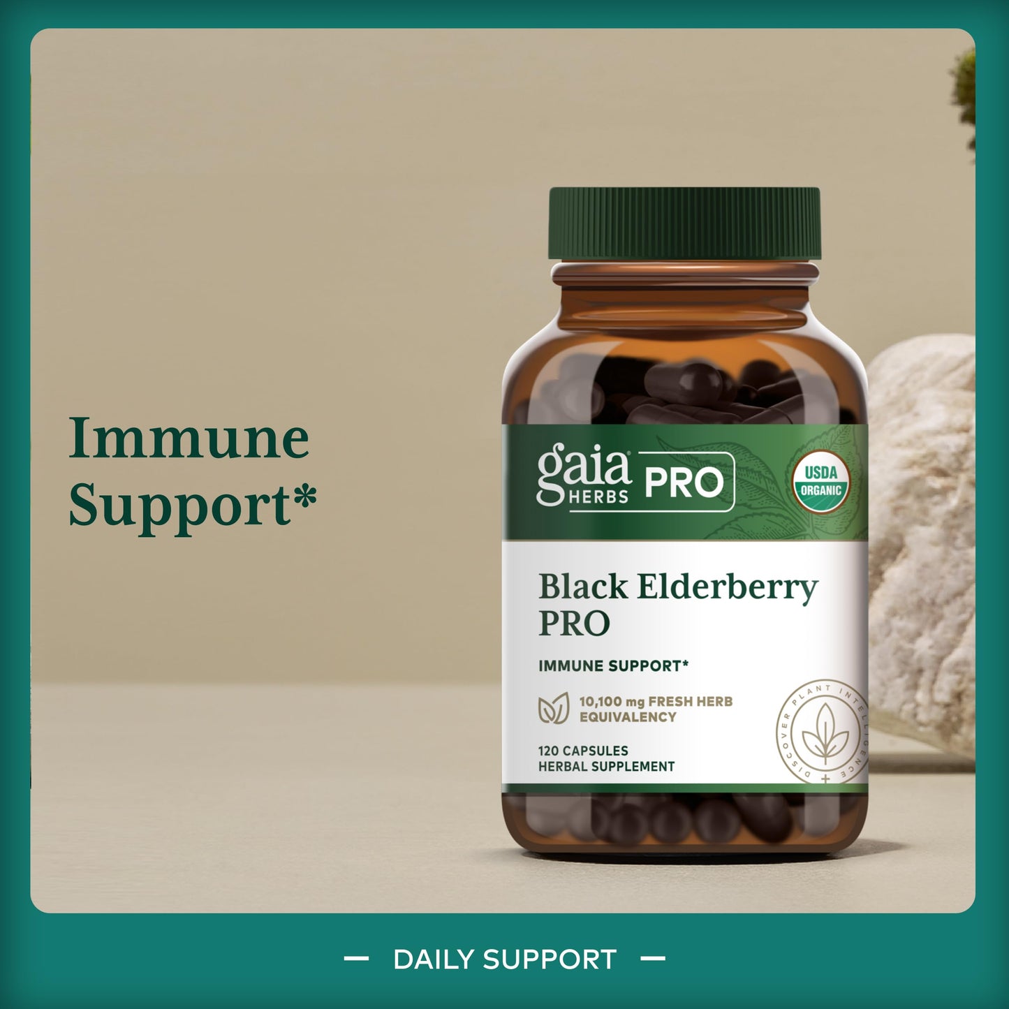 Gaia Herbs PRO Black Elderberry Pro 120 Capsules