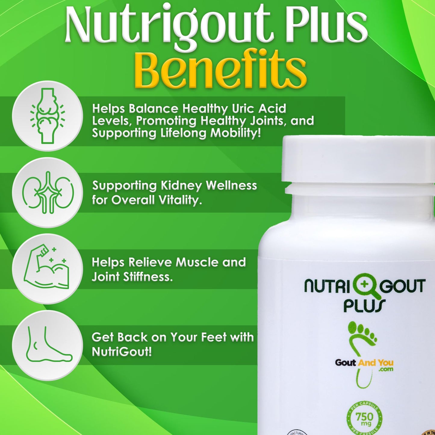Gout and You NutriGout Plus Uric Acid Support Premium Formula Capsule 60 Count