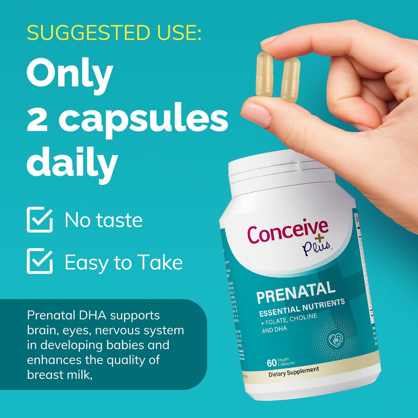 Conceive Plus Prenatal Vitamins Capsules 60 Count