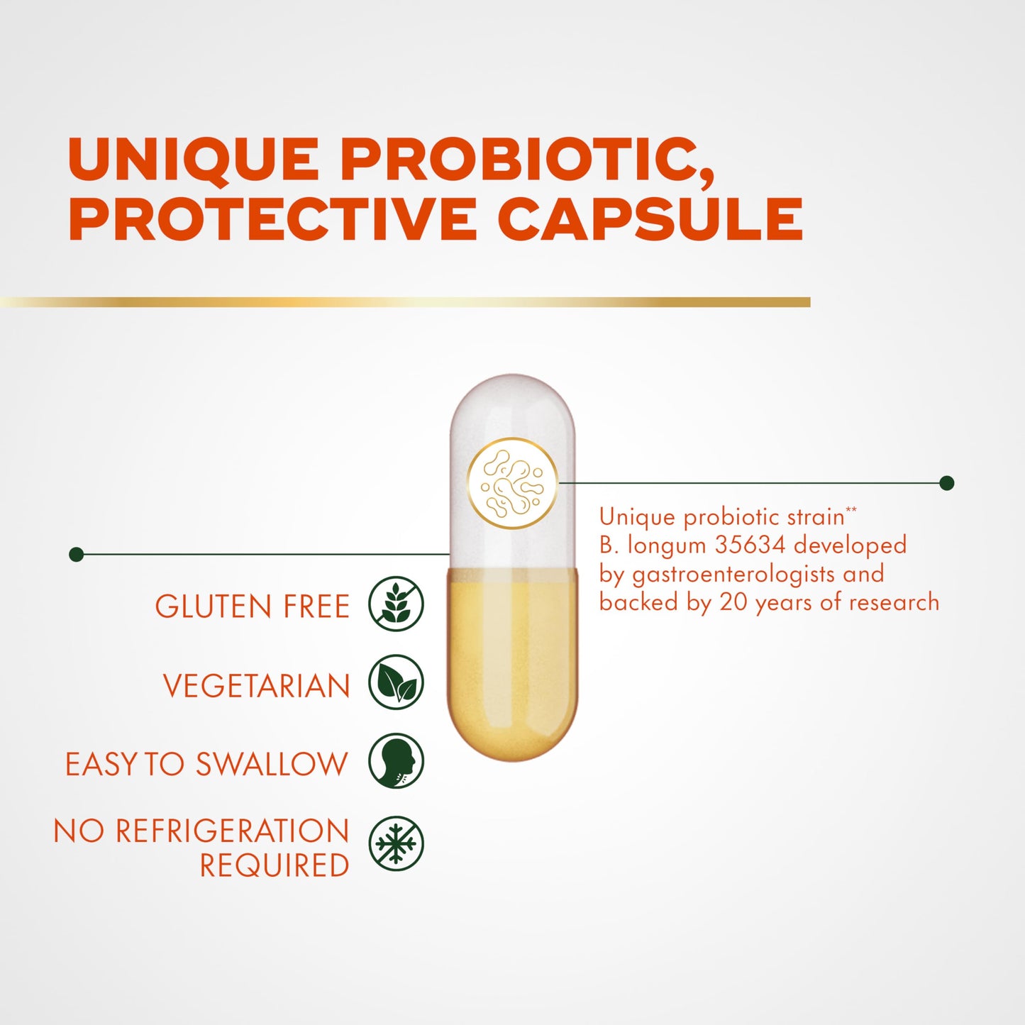 Align Probiotic Pro Formula Probiotics for Women and Men Probiotics for Digestive Health Capsules 63 Count