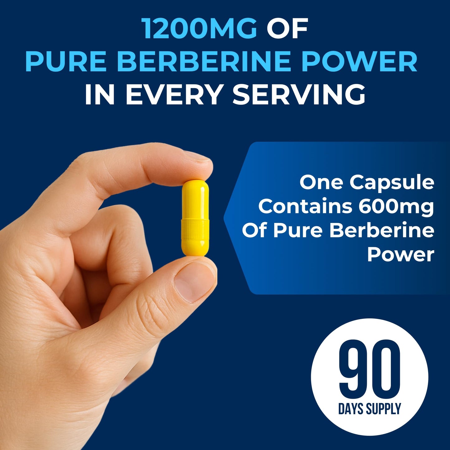 We Like Vitamins Berberine HCL 1200 mg per Serving Capsule, 180 Count