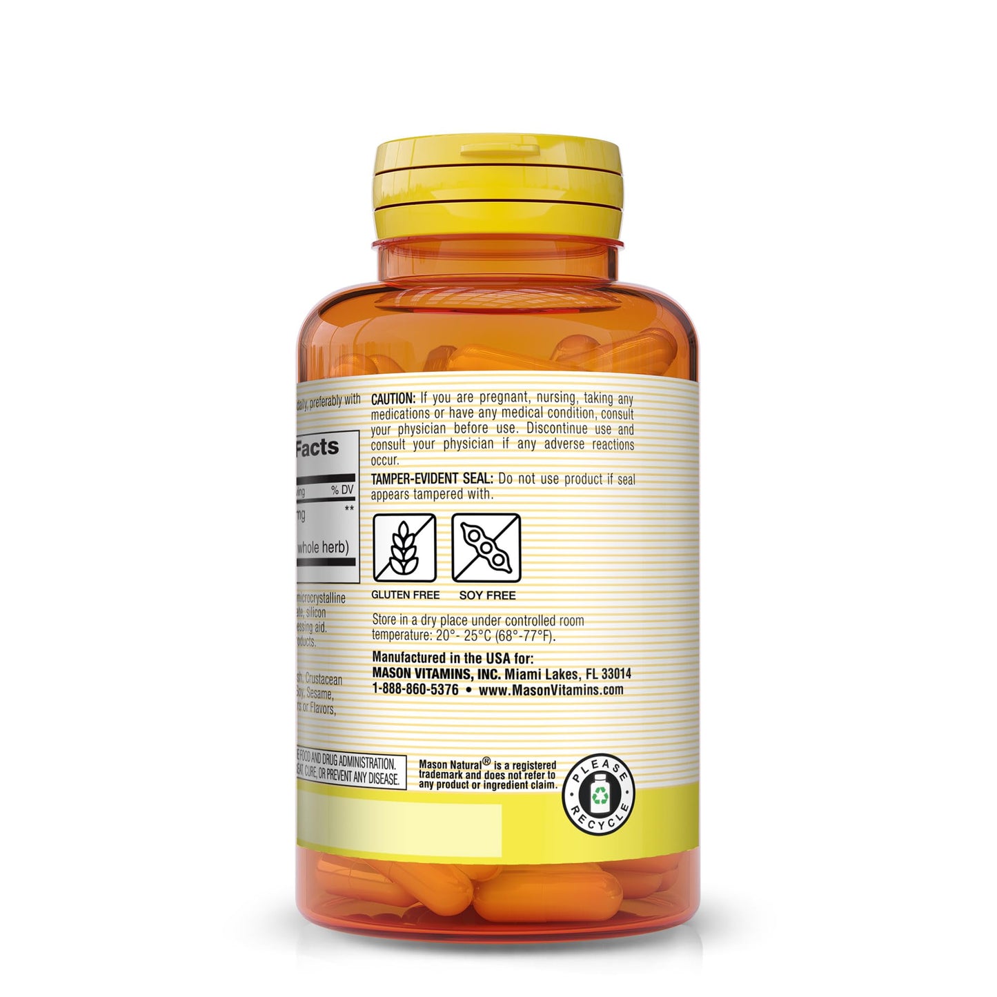 MASON NATURAL Ginkgo Biloba Capsules, 90 Count