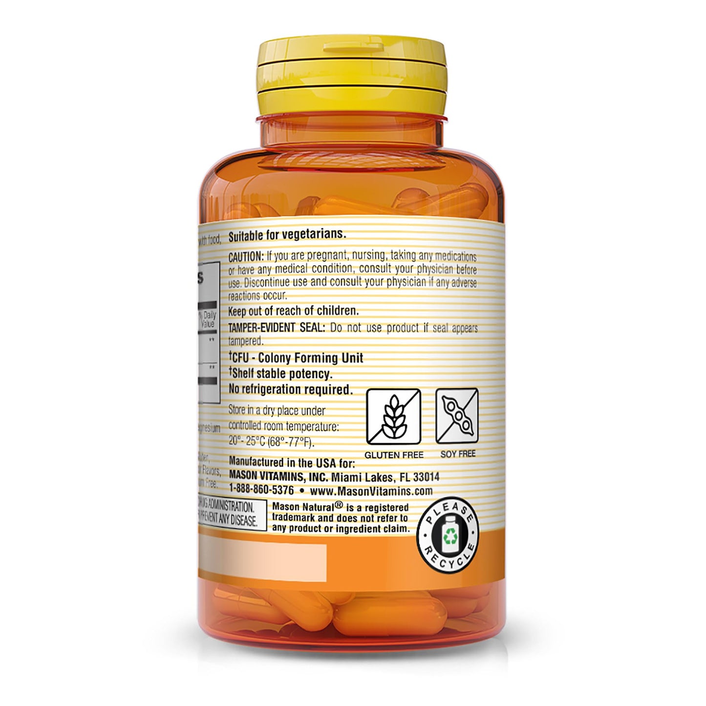 Mason Natural Probiotic with Prebiotic Capsules, 120 Capsules