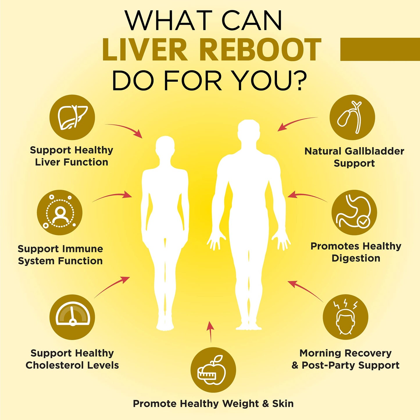 OmniBiotics Liver Cleanse Detox & Repair Supplement Capsule 60 Capsules