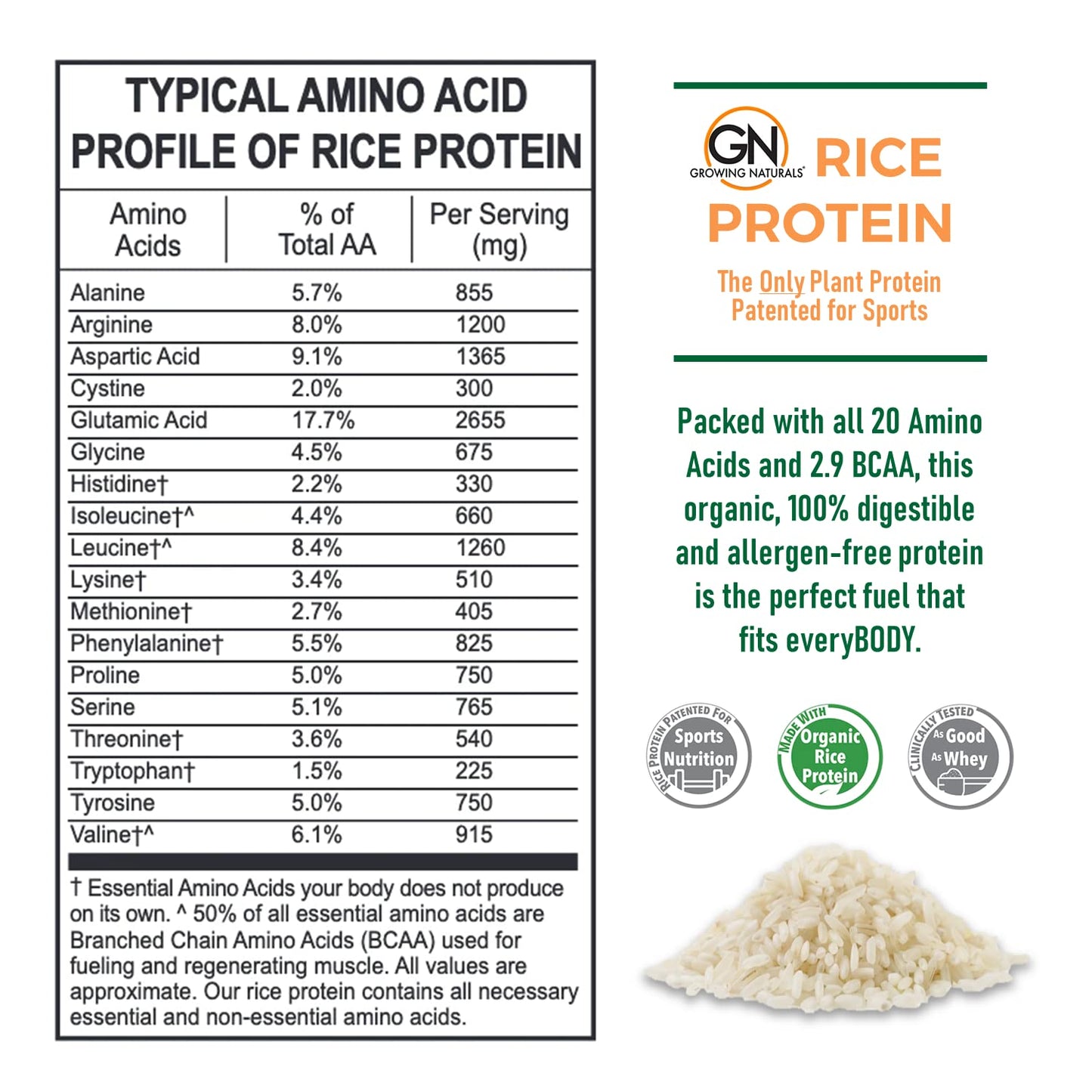 Growing Naturals Organic Rice Protein Powder Vanilla Blast, 2.05 Pound