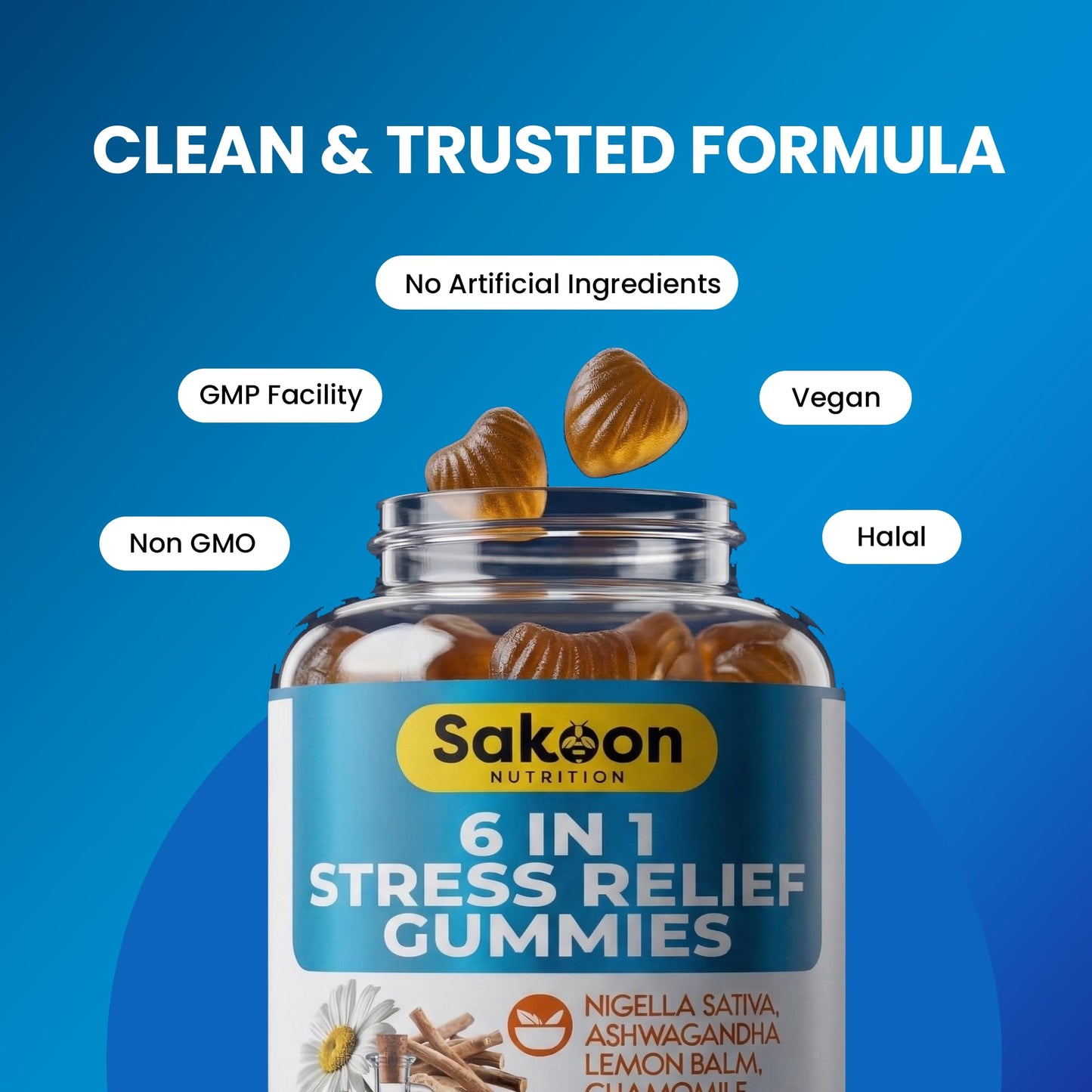 Sakoon Nutrition 6-in-1 Stress Gummies for Men & Women, 60 Count