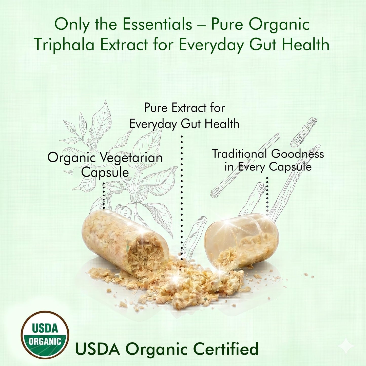Herbogayam Triphala Capsules 500mg, 60 Capsules