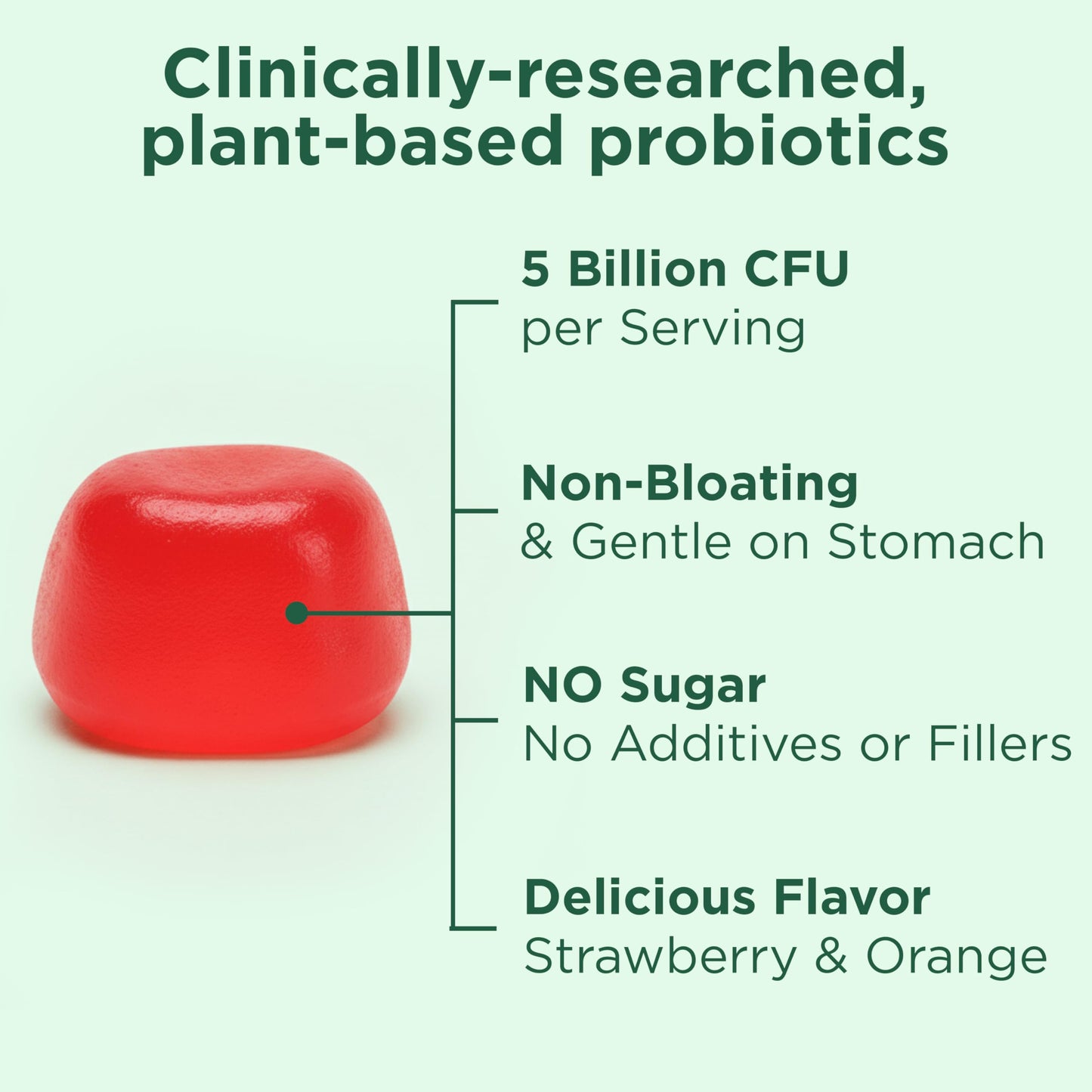 Yuve Natural Sugar Free Probiotic Gummies 5 Billion CFU, 60 Count