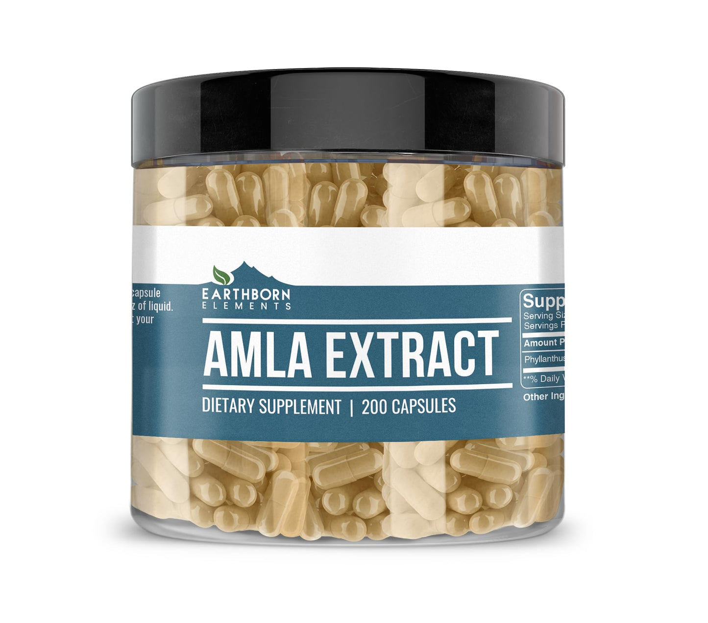 Earthborn Elements Amla Extract Capsules 200