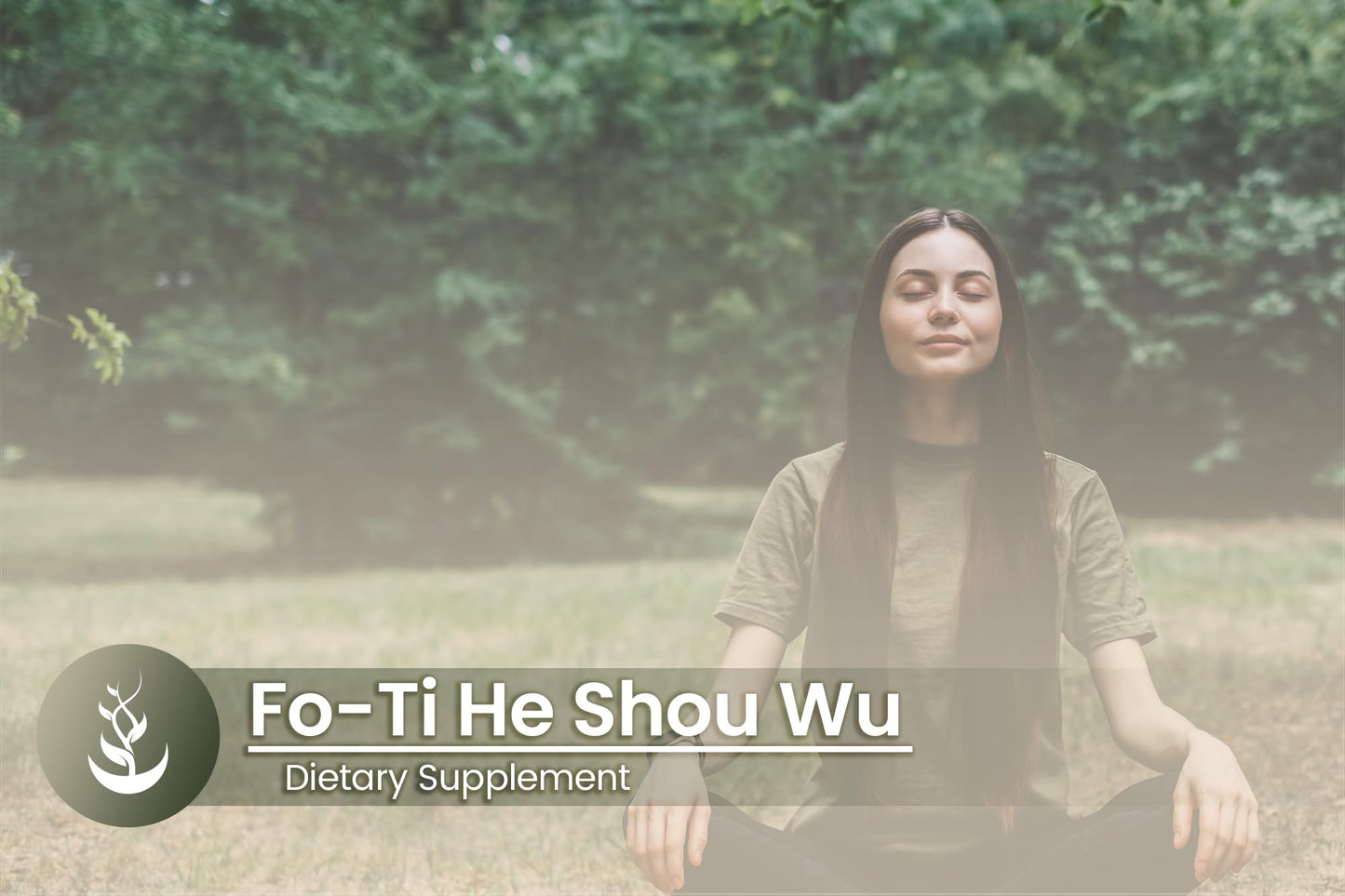 Pure Original Ingredients Fo-Ti (He Shou Wu) Capsule, 100 Capsules