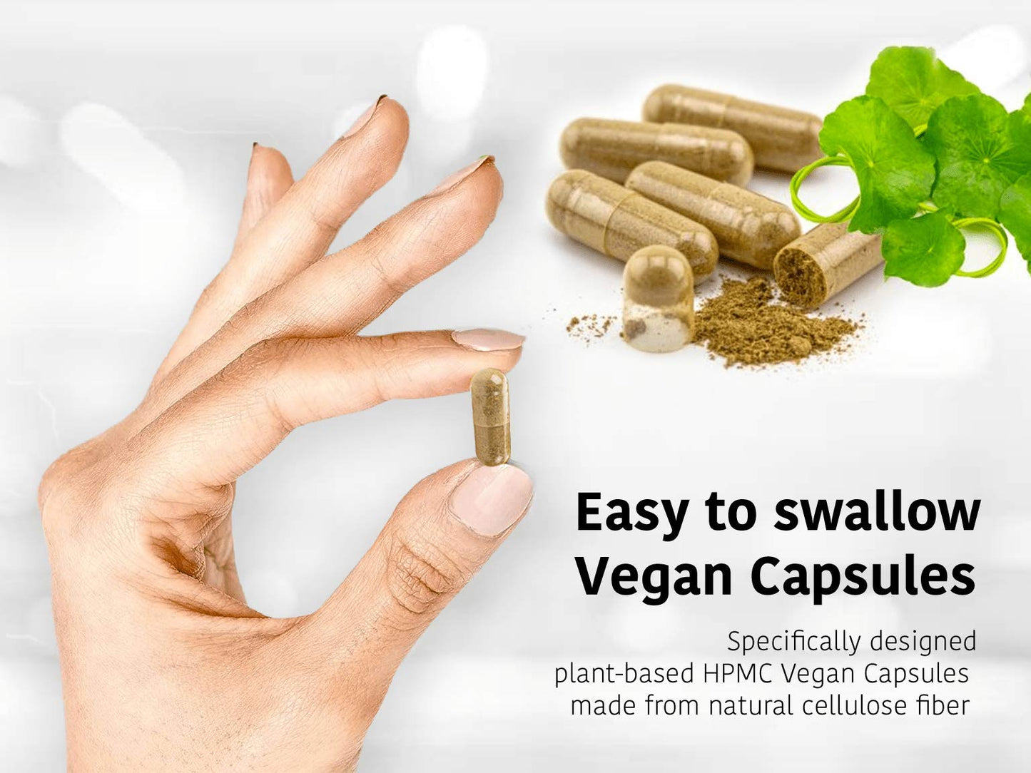 DR WAKDE'S Punarnava Capsules, 1 Count