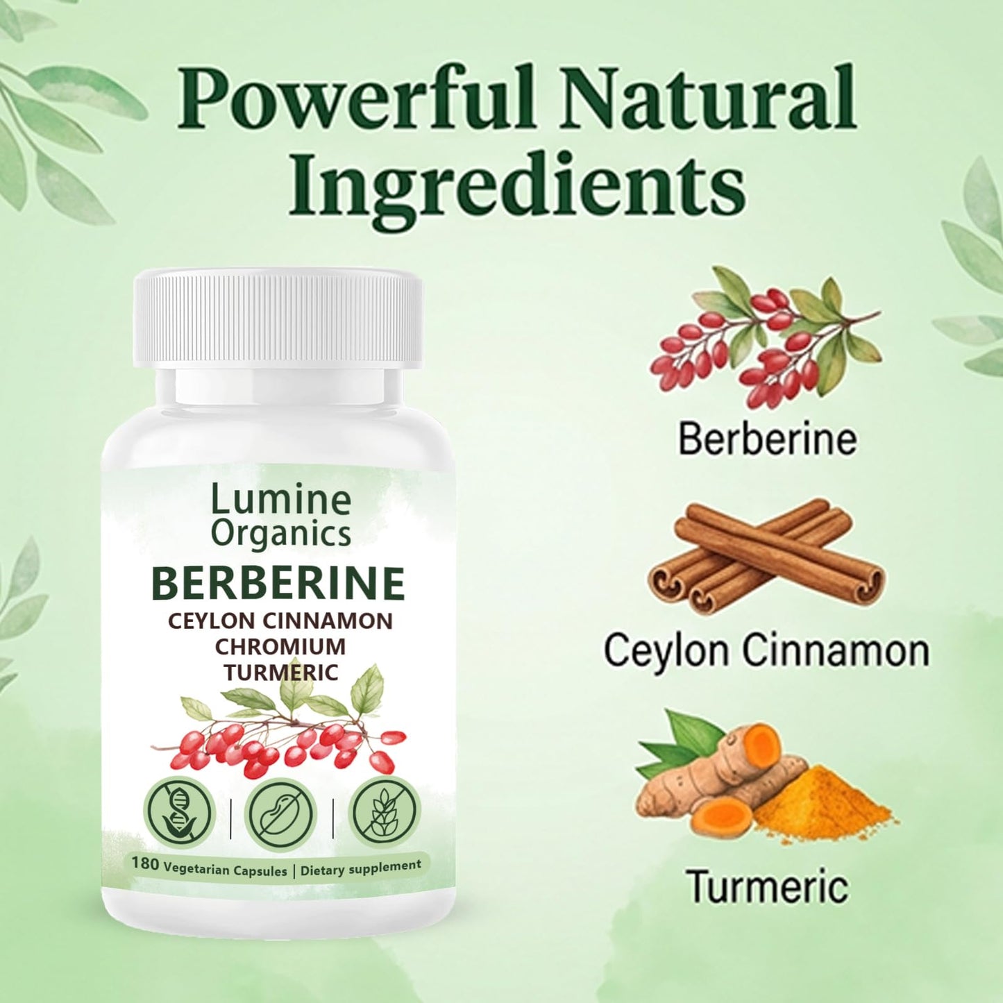 Lumine Organics Berberine 4 in 1 Complex Capsule, 180 Capsules