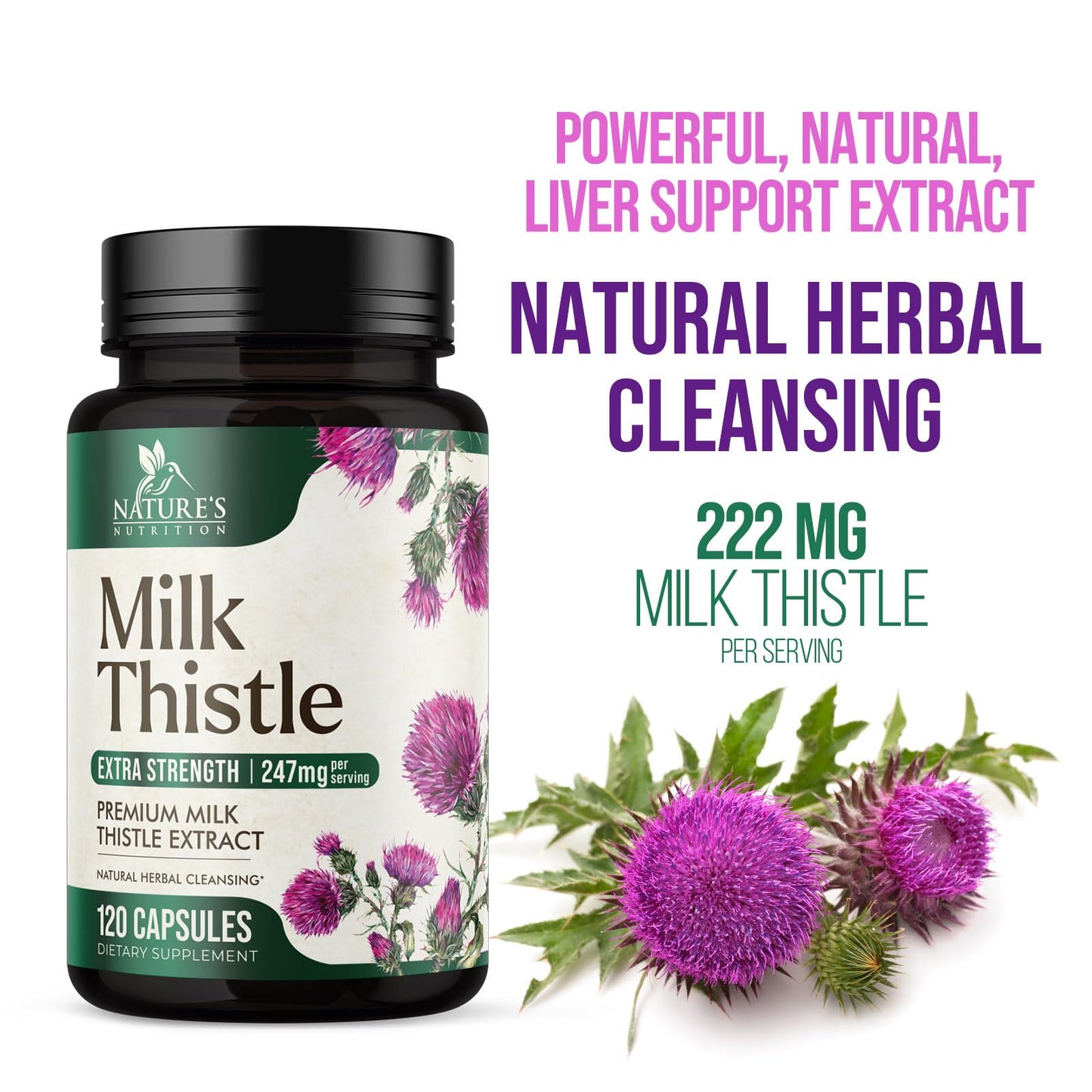 Nature's Nutrition Milk Thistle Extract with Silymarin Marianum & Dandelion Capsules, 120 Count
