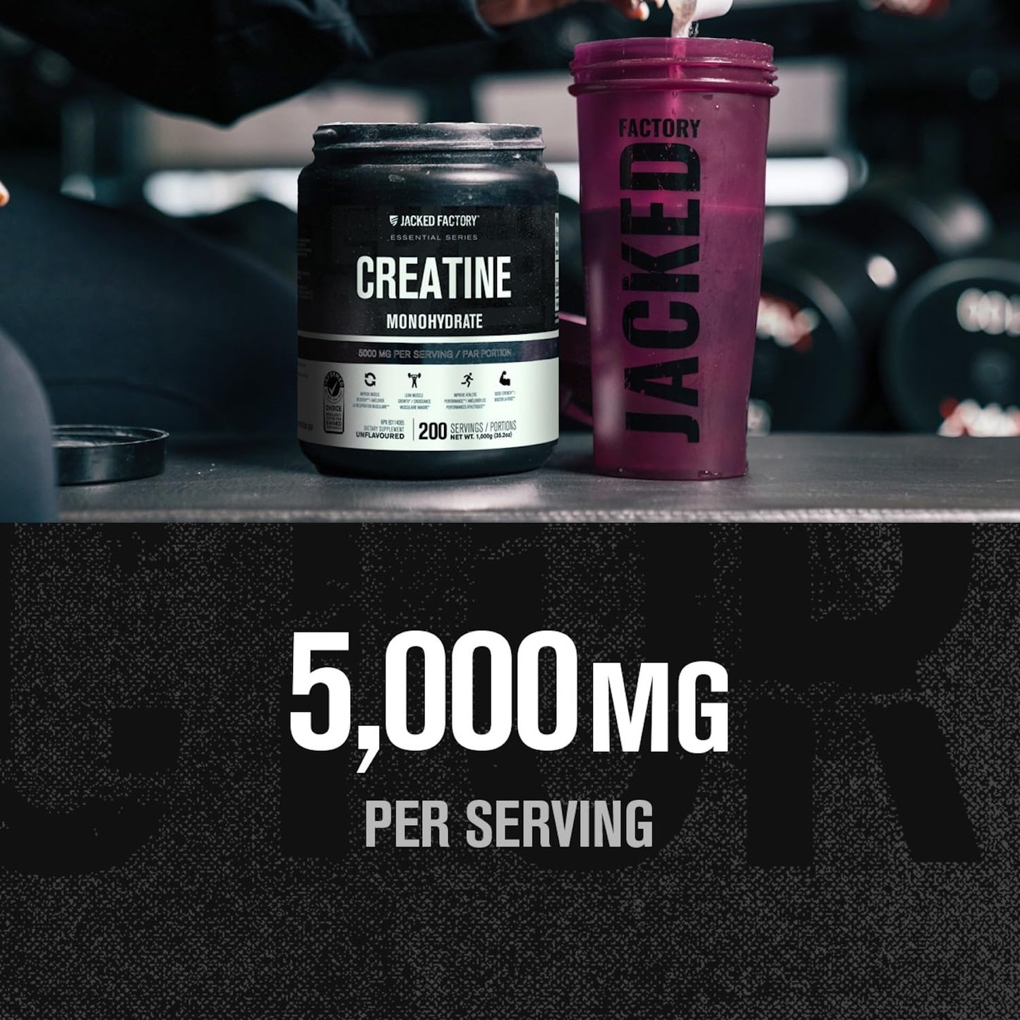 Jacked Factory Creatine Monohydrate Powder 200 Servings