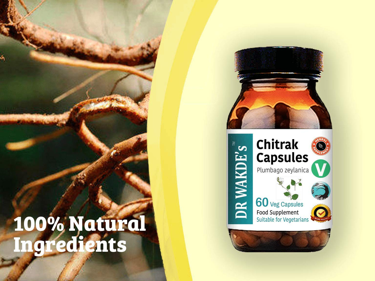 DR WAKDE'S Chitrak Capsules 1 Count
