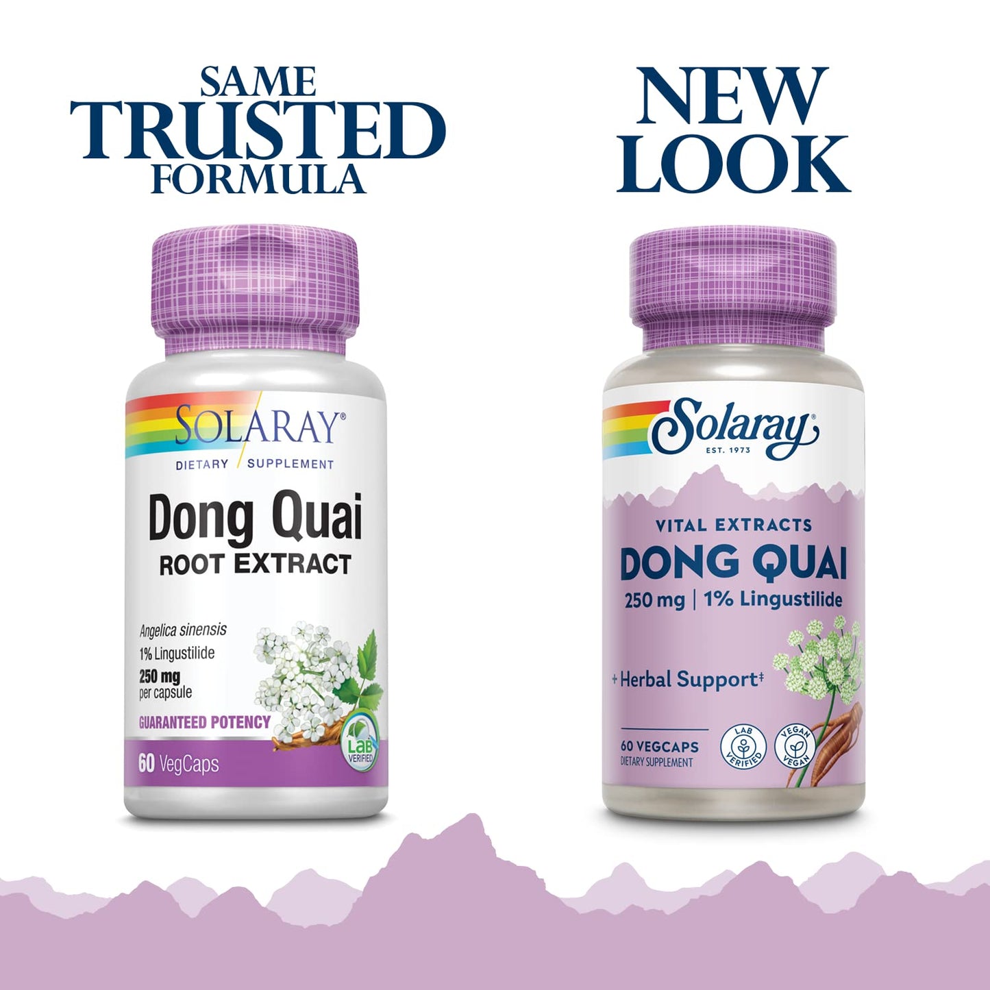 SOLARAY Dong Quai Root Extract Capsule 60 Count
