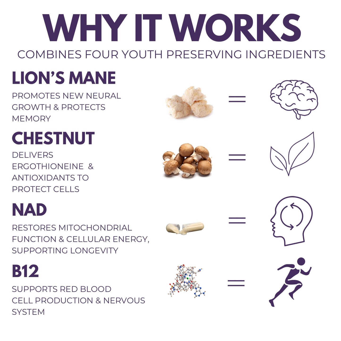 The Mushroom Society Everyday Youth Anti-Aging Brain & Cellular Energy Formula with Lion’s Mane, Chestnut, NAD, B12 + Beta-Glucans, 60 Vegan Capsules