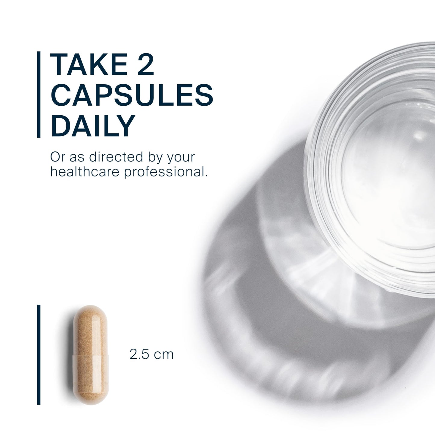 Vital Nutrients Energy Plus Capsules 120 Count