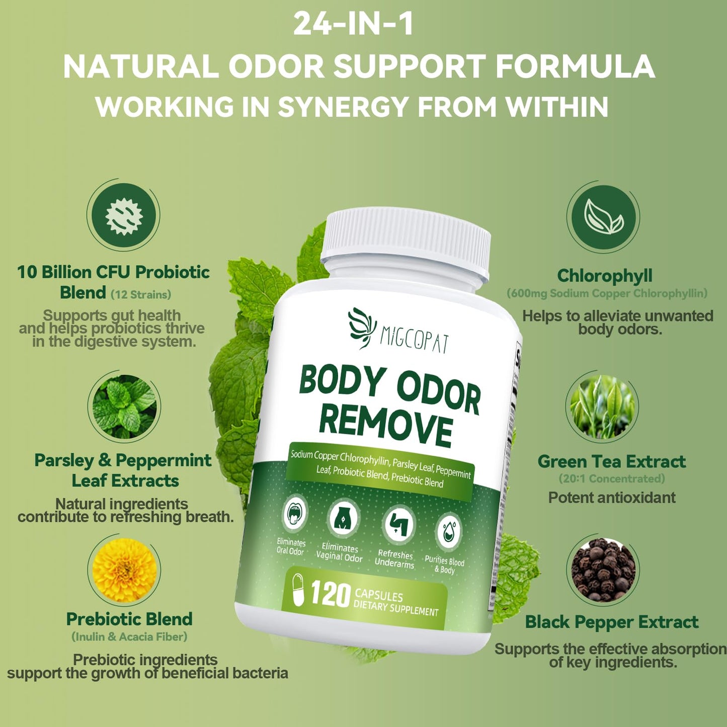 Migcopat Chlorophyll Body Deodorizing Supplement with 10 Billion CFU Probiotic, Vitamin C & E, Parsley, Peppermint, Green Tea, Prebiotics - Chlorophyll Capsules, 120 Capsules