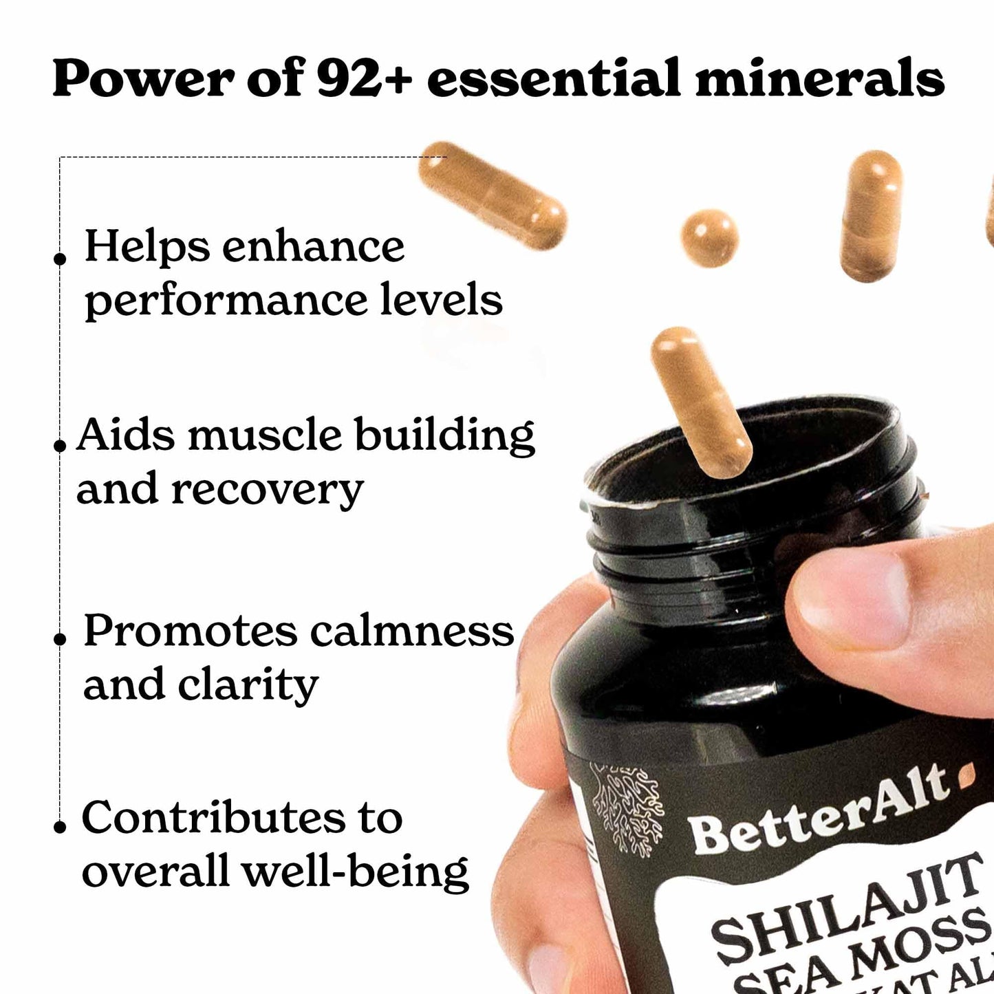 Better Alt 8800mg Shilajit, Maca Root, Ginkgo Biloba, Sea Moss, Ashwagandha, Panax Ginseng, Safed Musli & Zinc 120 Capsules
