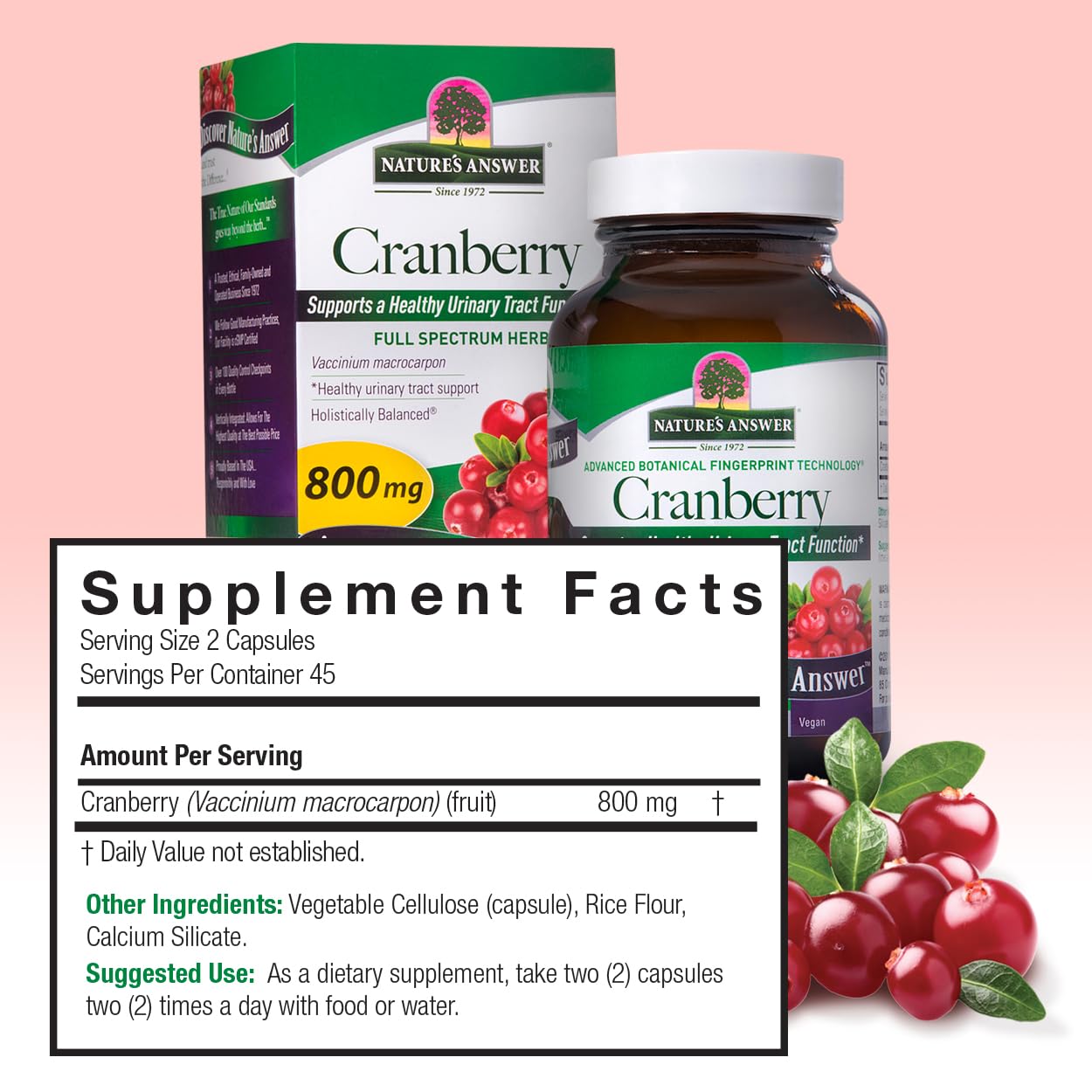 Nature's Answer Cranberry Fruit Capsules 90 Count (Pack of 2)