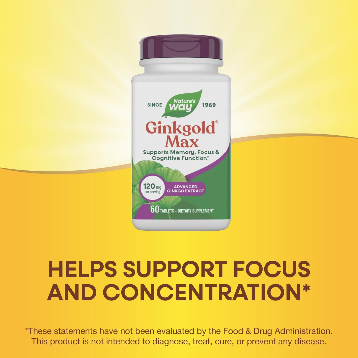 Nature's Way Ginkgold Max Advanced Ginkgo Extract Tablets, 60 Count