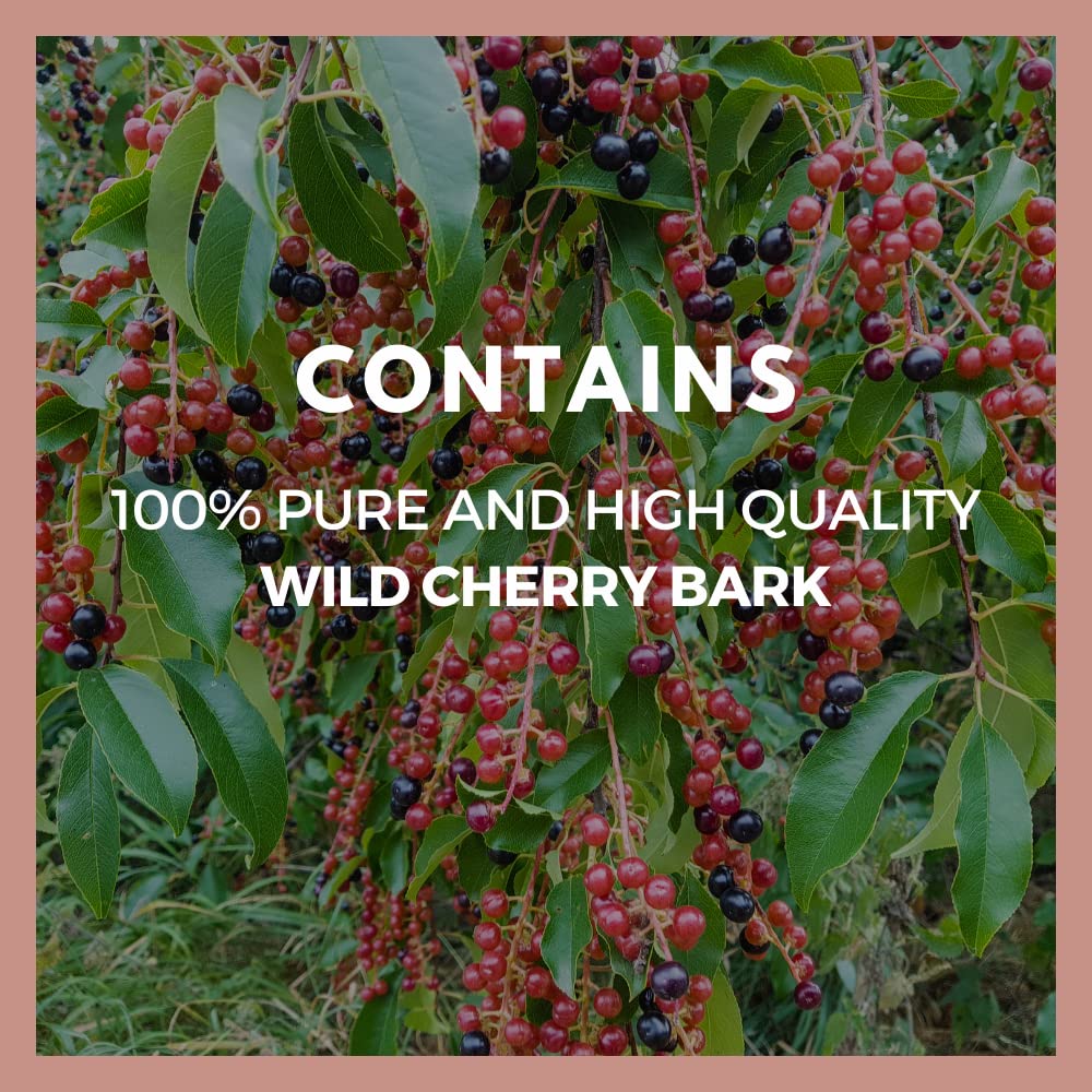 Remedy’s Nutrition Wild Cherry Bark 1000 mg Capsules, 60 Count