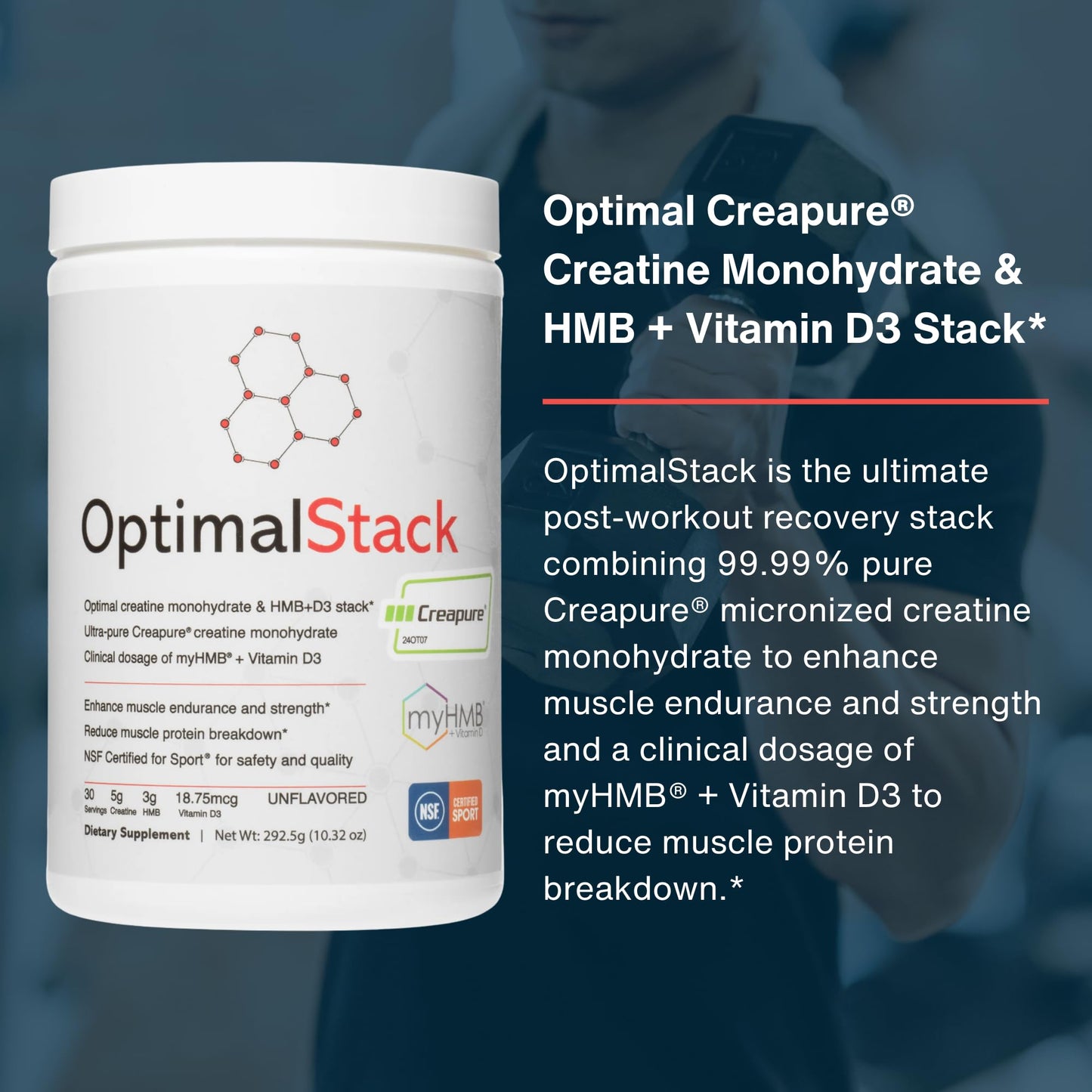OptimalAmino OptimalStack Creatine Monohydrate, HMB, & Vitamin D3 Stack Powder, 10.32 Ounce