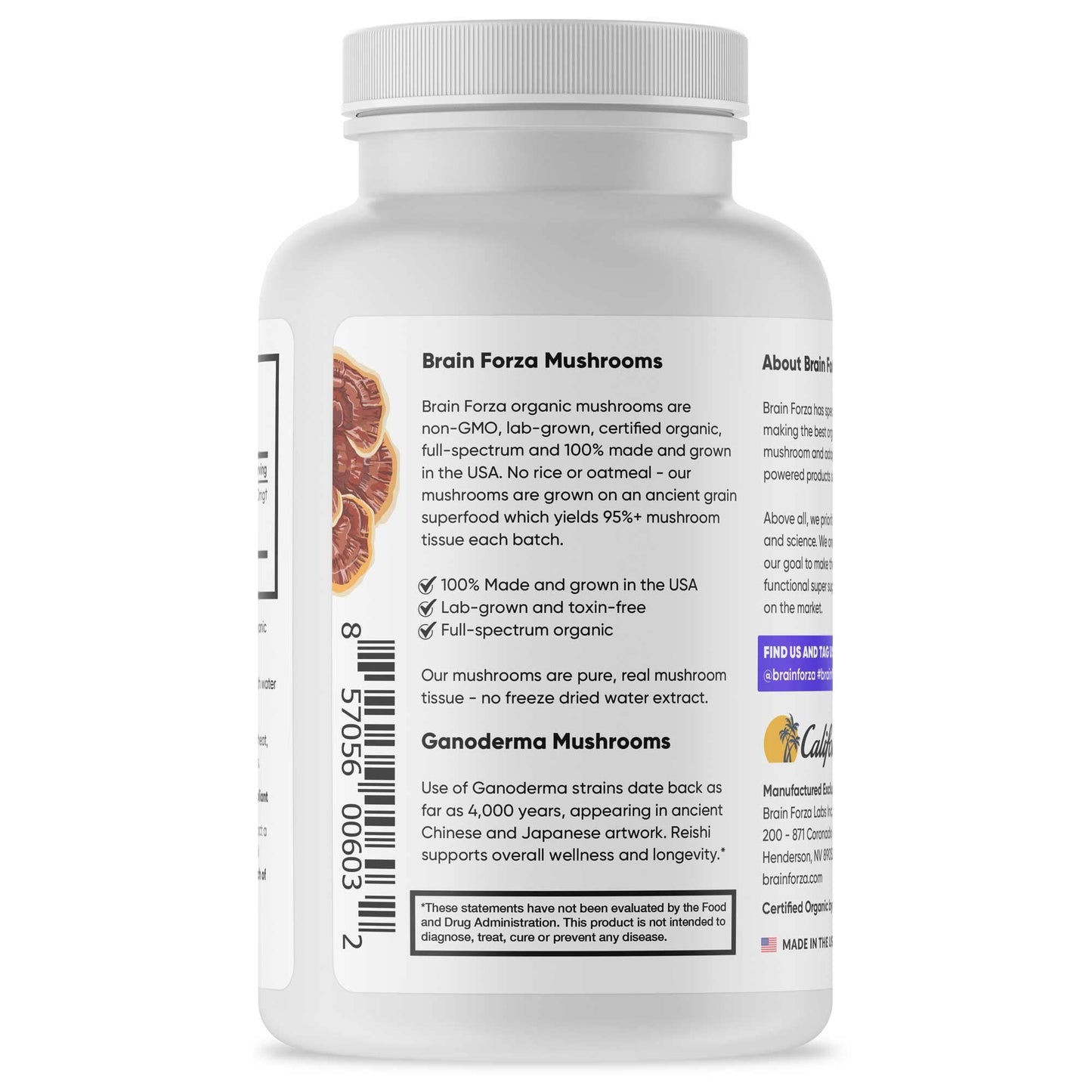 Brain Forza Organic Red Reishi Mushroom Capsules, 90 Count