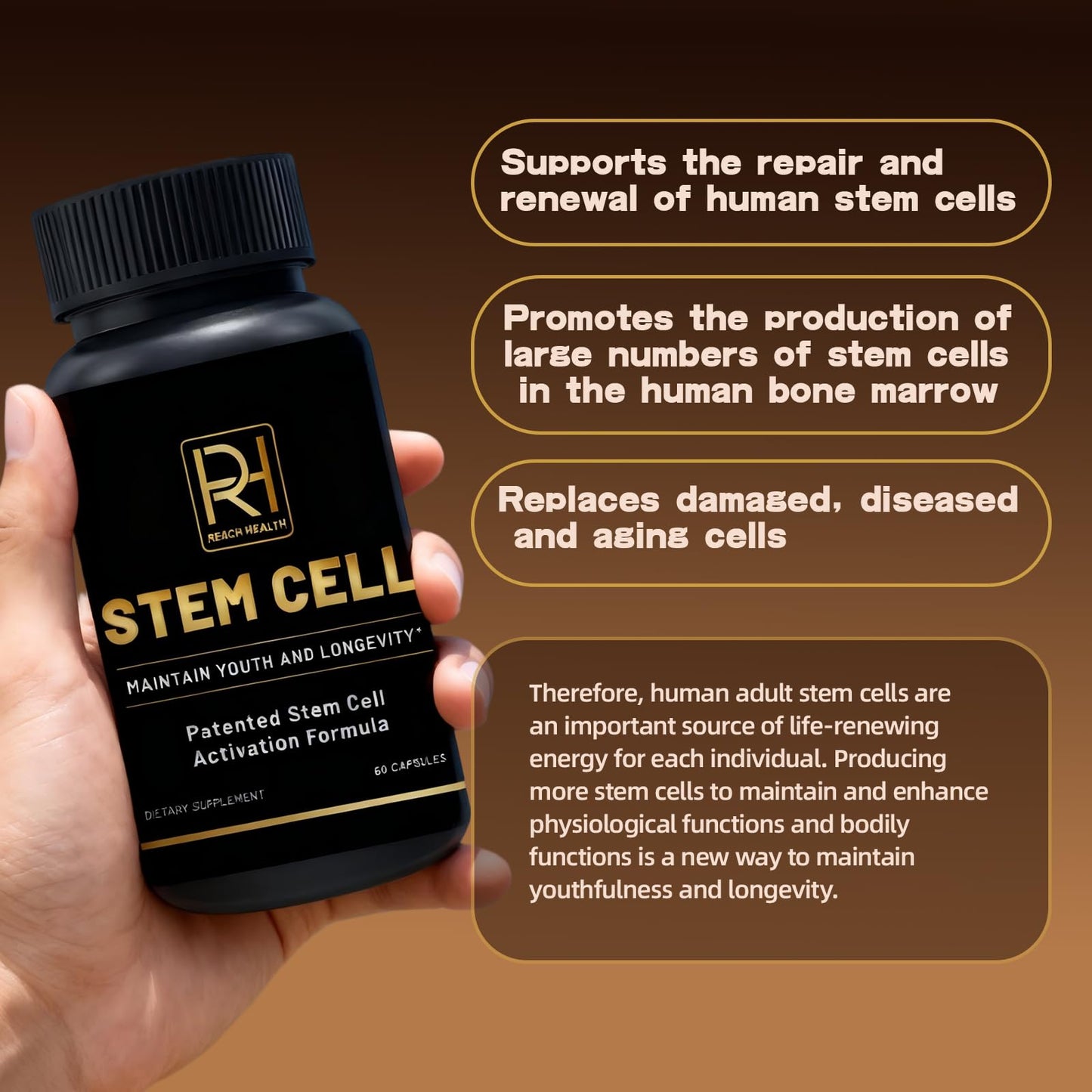 Reach Health Stem Cell Activation Formula Capsule, 60 Capsules