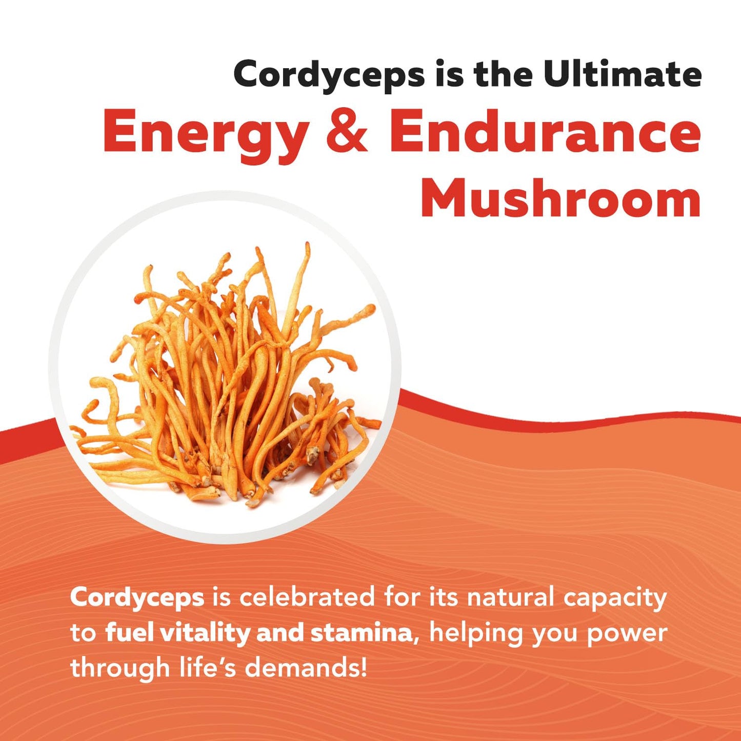Triquetra Health Organic Cordyceps Mushroom Extract Capsules, 60 Count