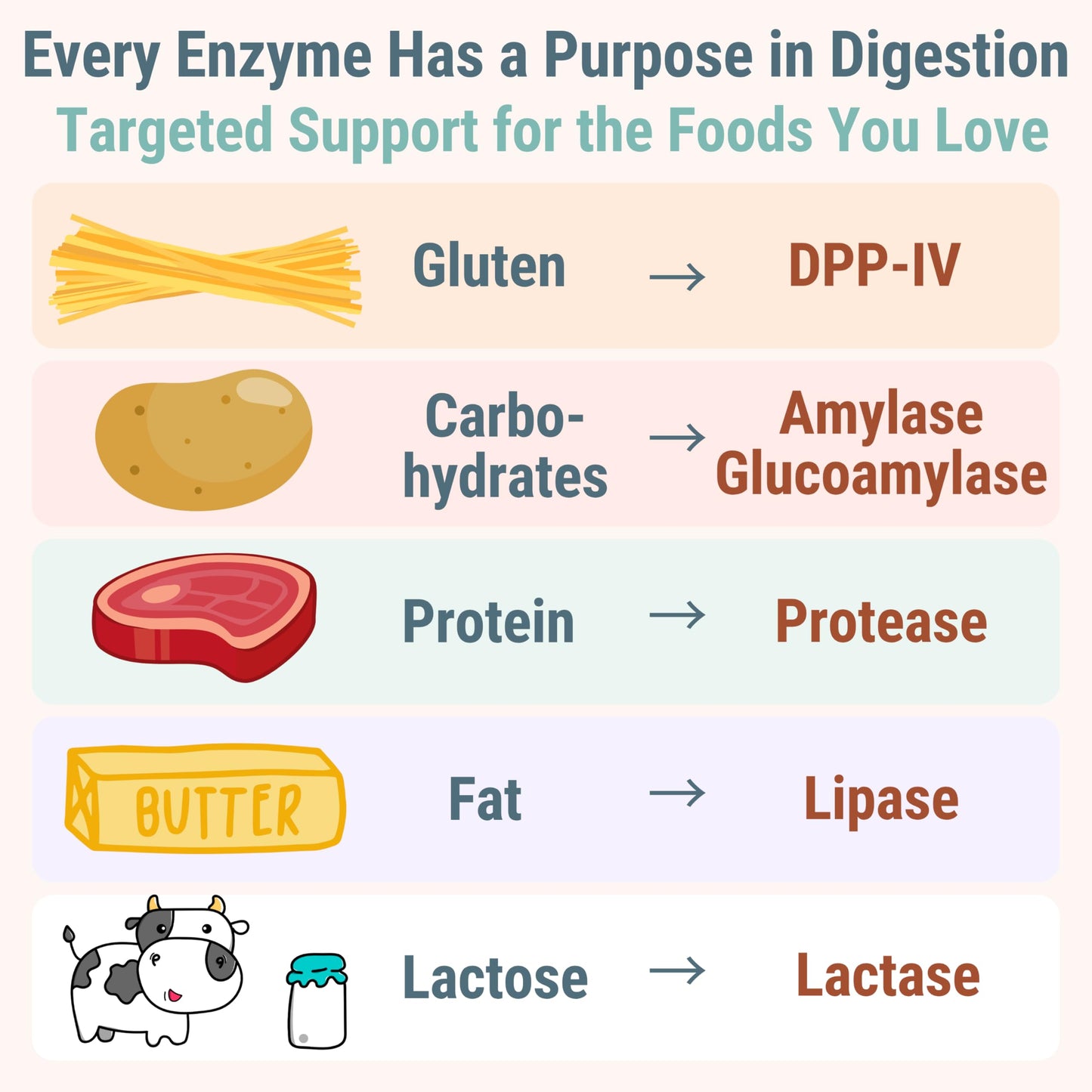 SHIZAM Gluten & Lactase Digestive Enzyme Gummies with DPP-IV, Lipase, Gluco-Amylase, Lactase for Kids, 60 Gummies