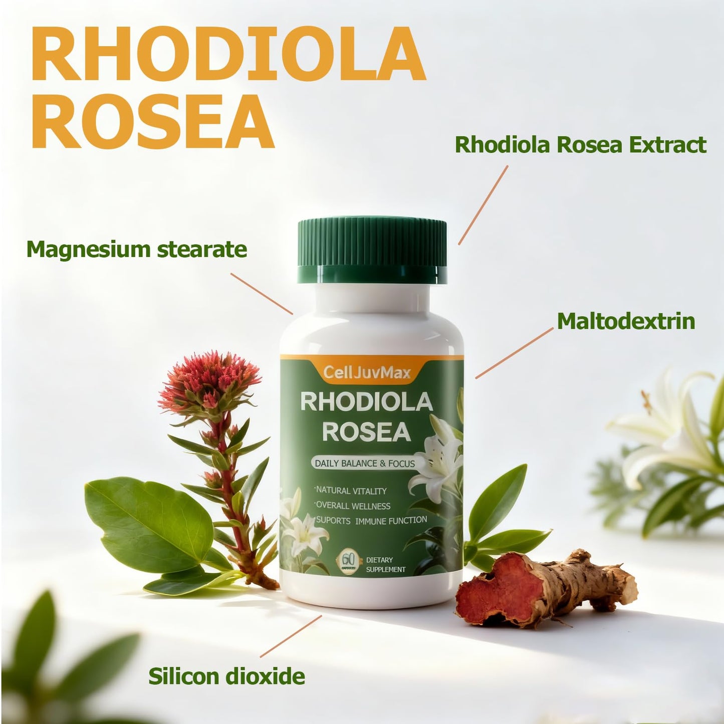 PBZPBZ Rhodiola Rosea 500mg Capsules, 1 Count