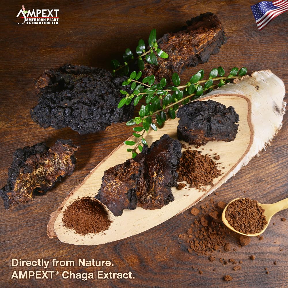 AMPEXT Chaga Premium Quality Fruiting Bodies Extract Capsules 90
