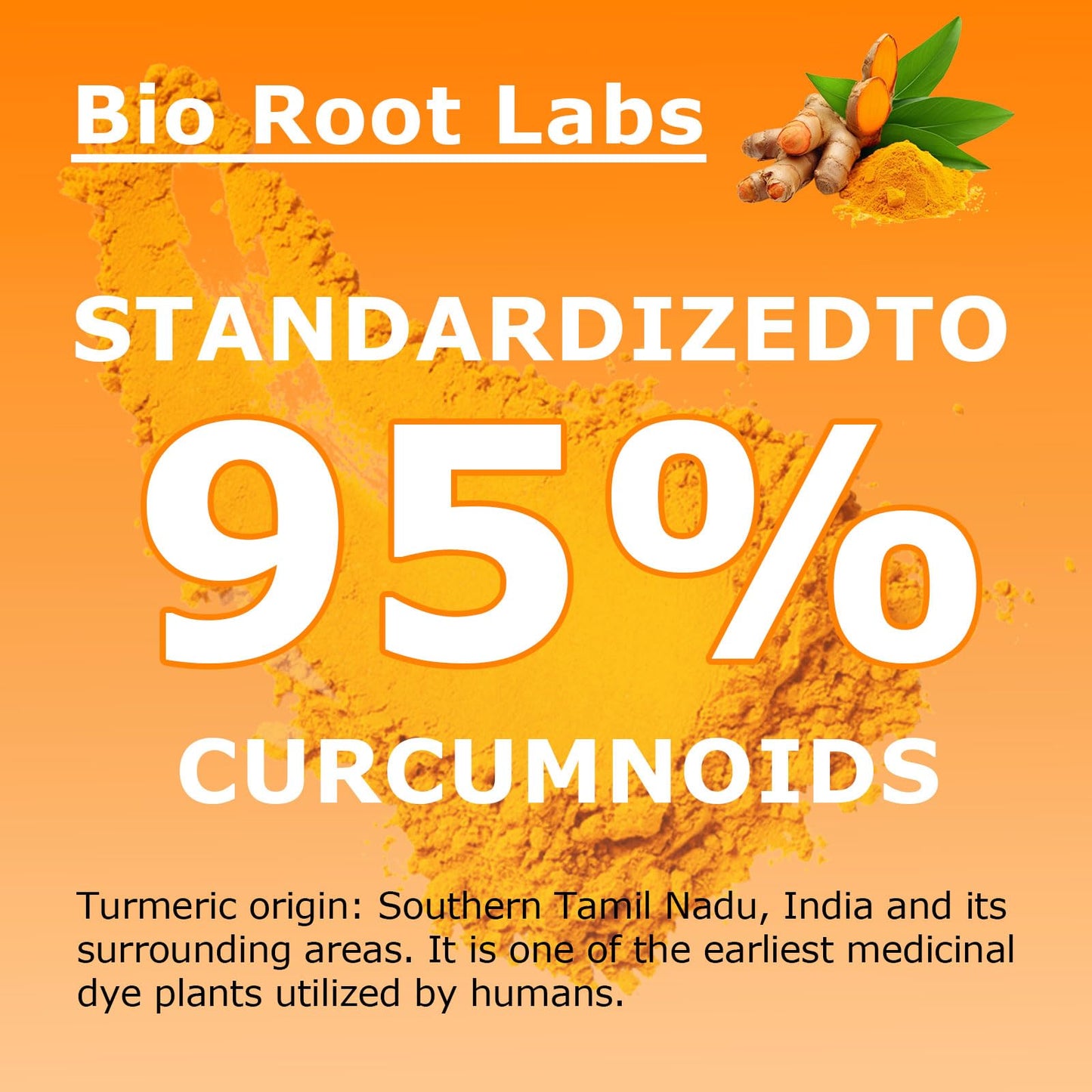 Biorootlabs Turmeric Curcumin Supplement Capsule, 120 Capsules